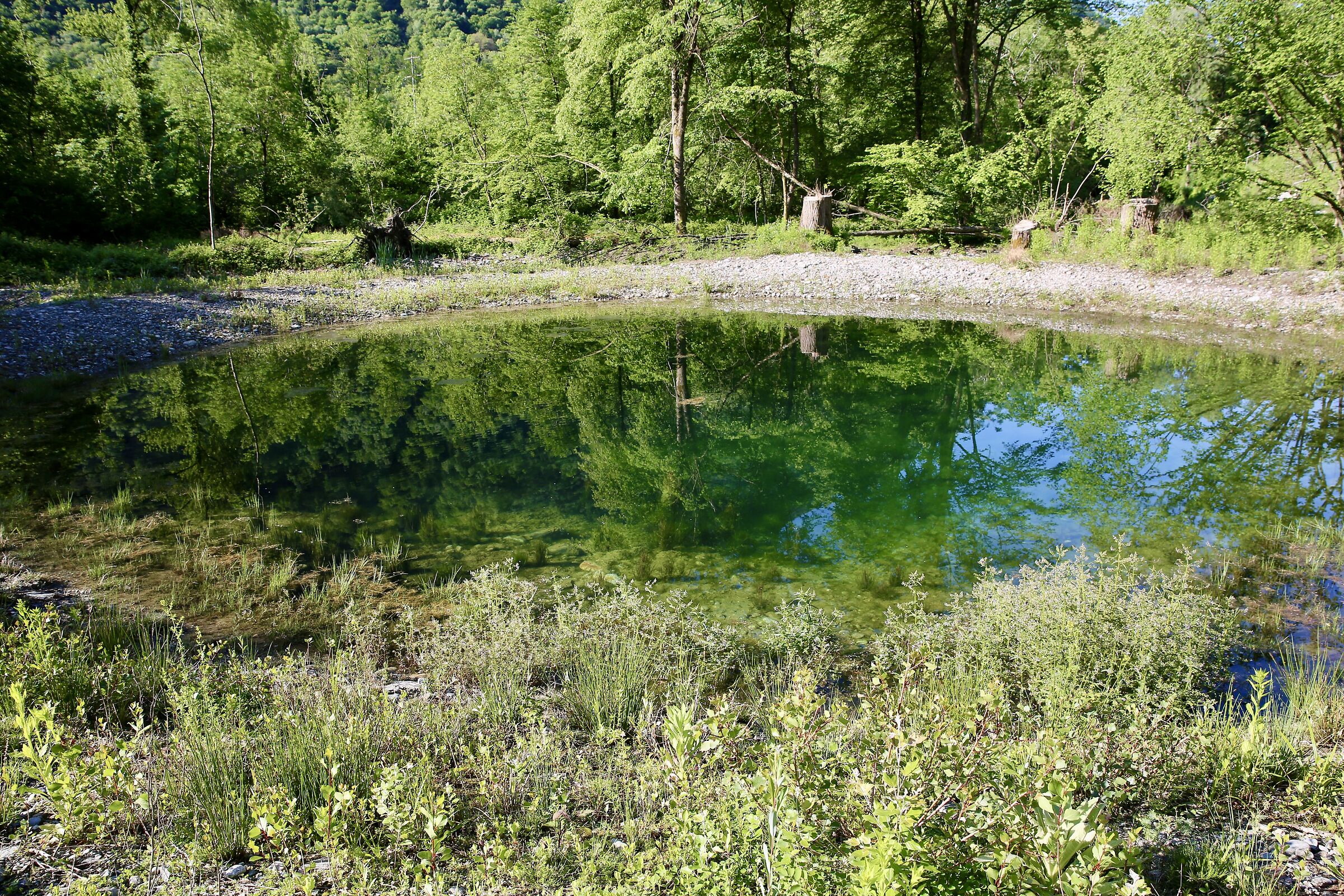 mag. 2026: New educational trail along the floodplain