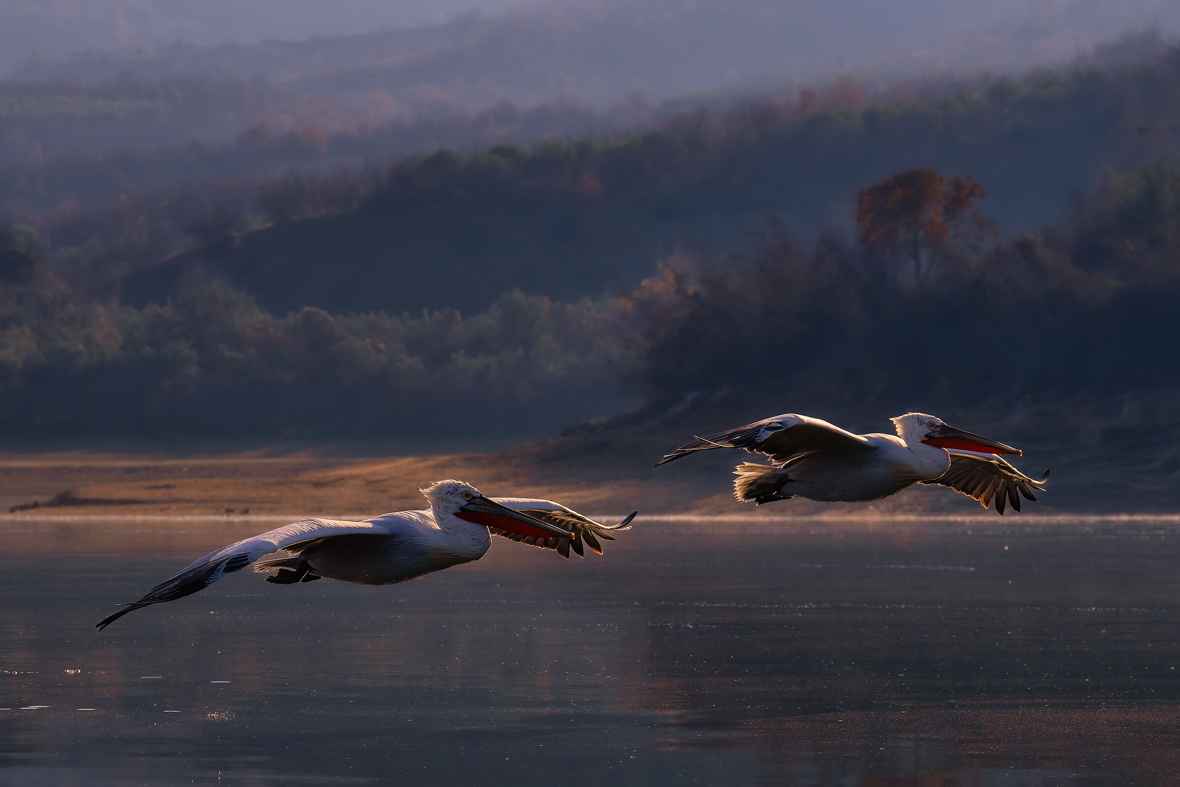 Kerkini Lake