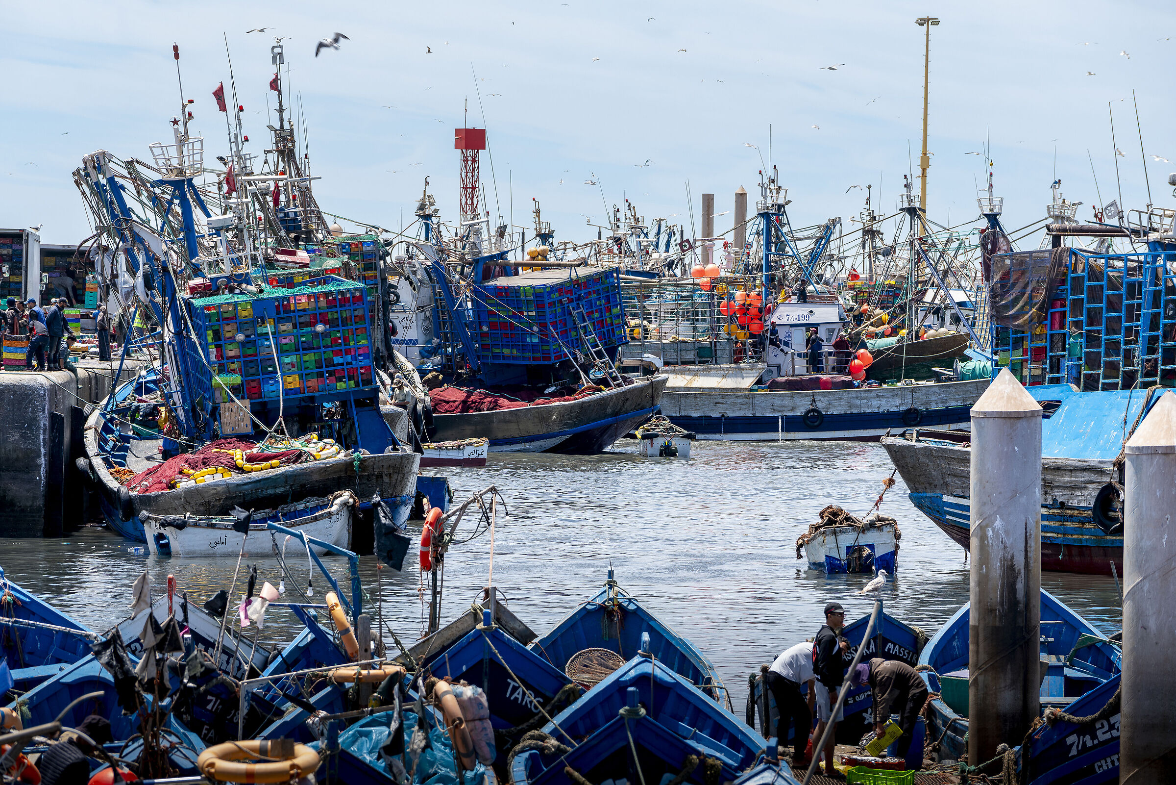Port of Essaouira