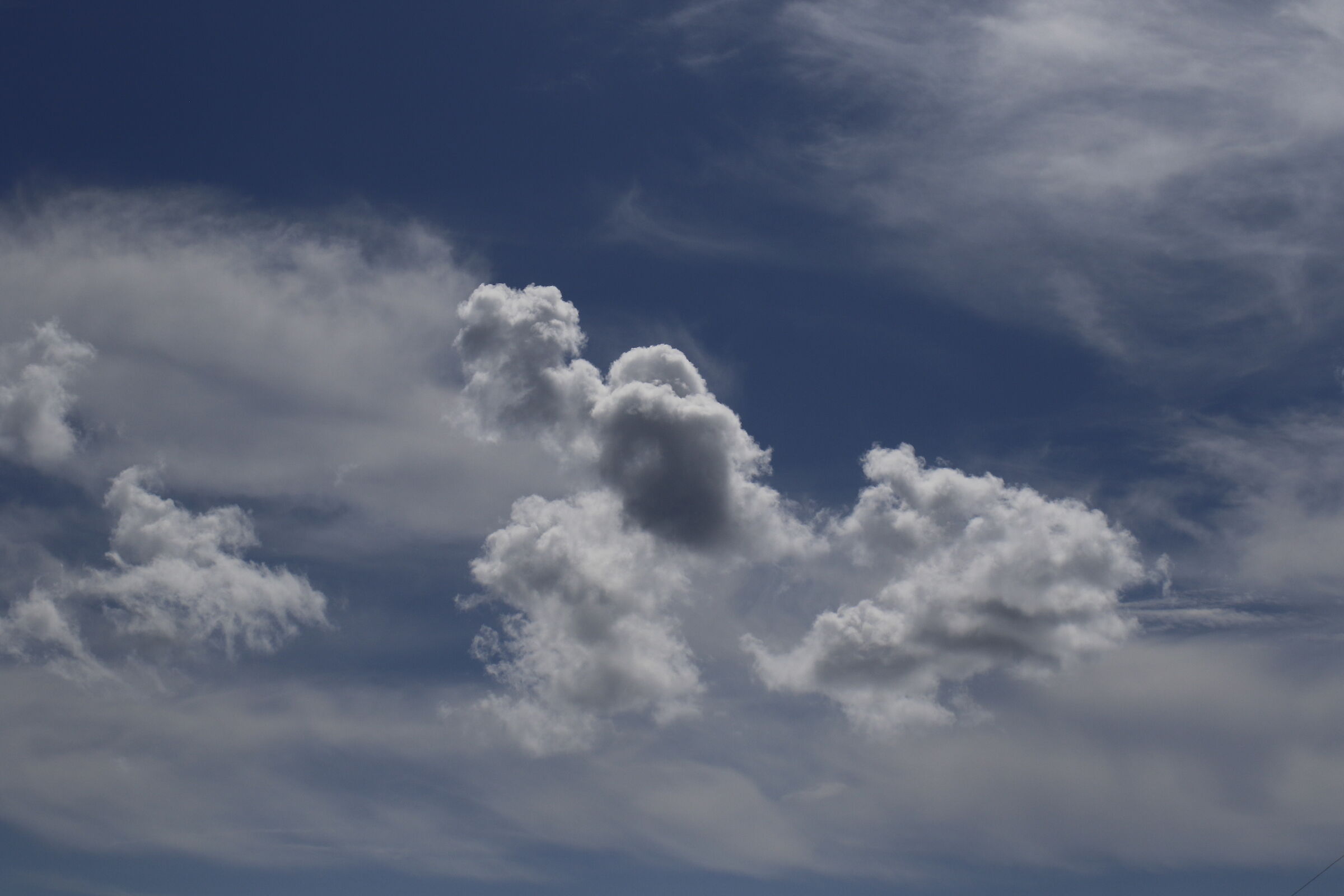 Crop 80, @ " 1/ 8 Mila " Milvus Z. 50 1.4- Canon 7 D II