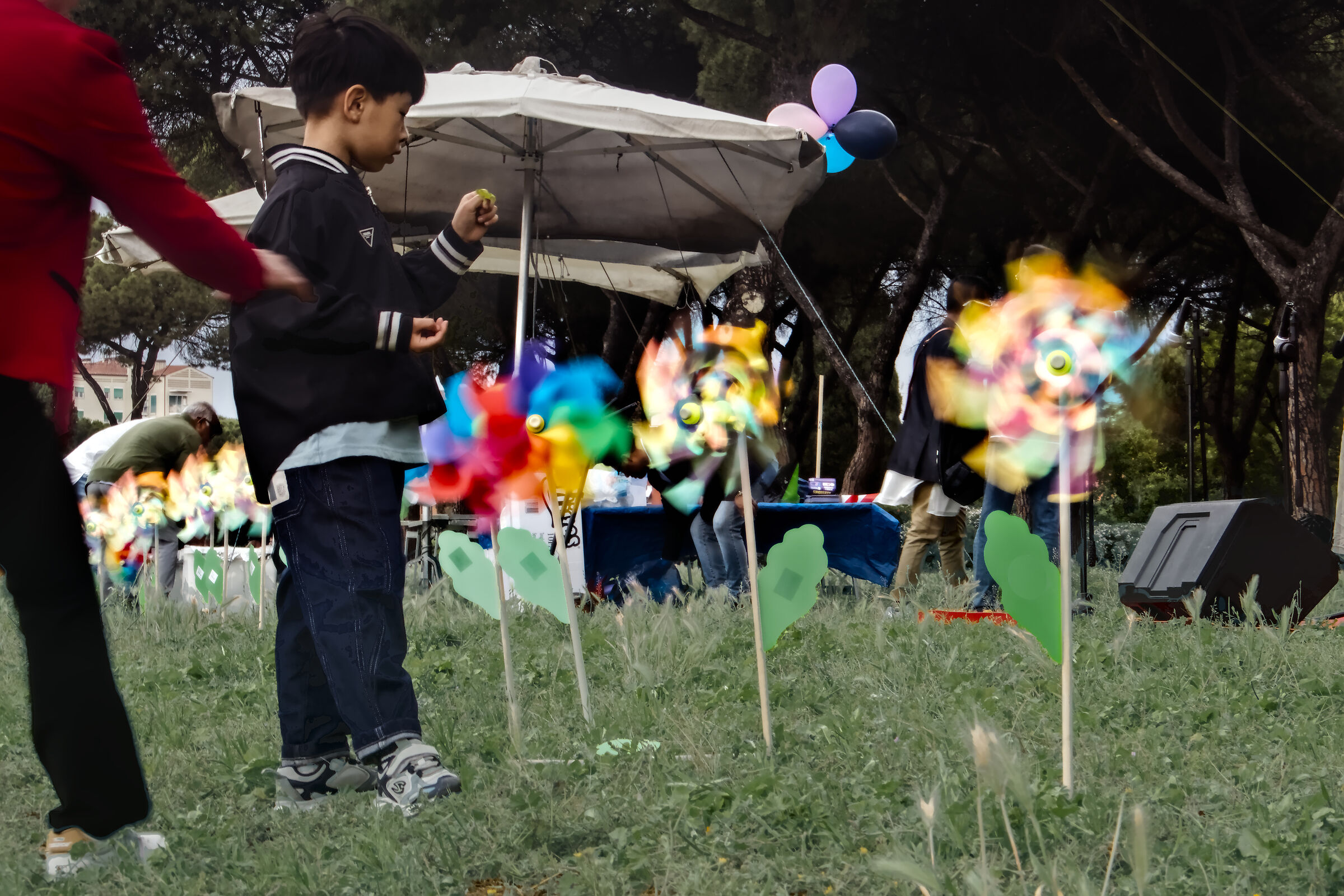 festival degli aquiloni, 2026