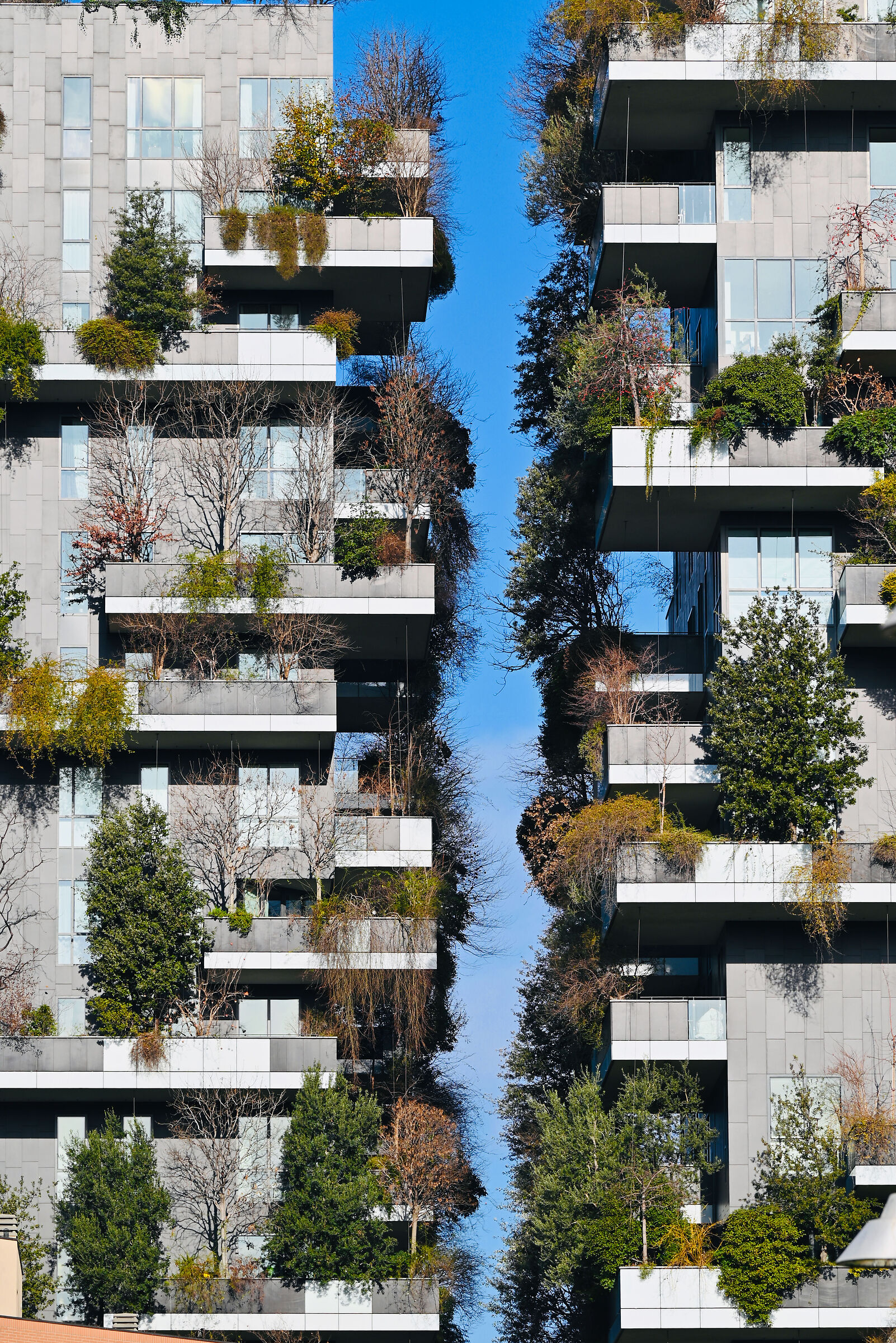 Vertical Forest
