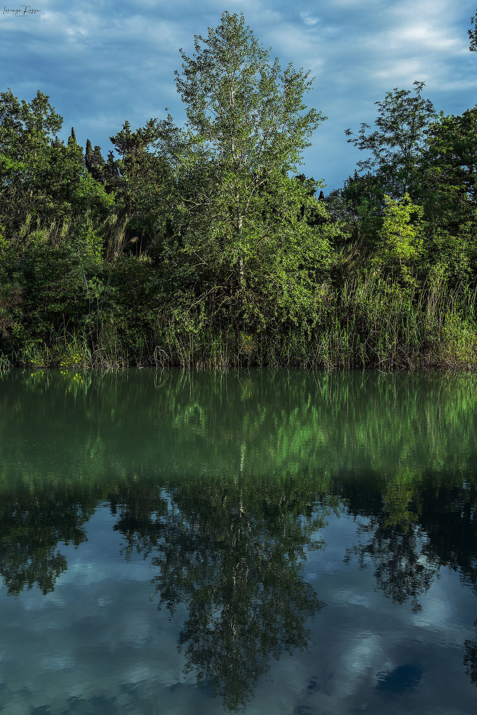 Reflections