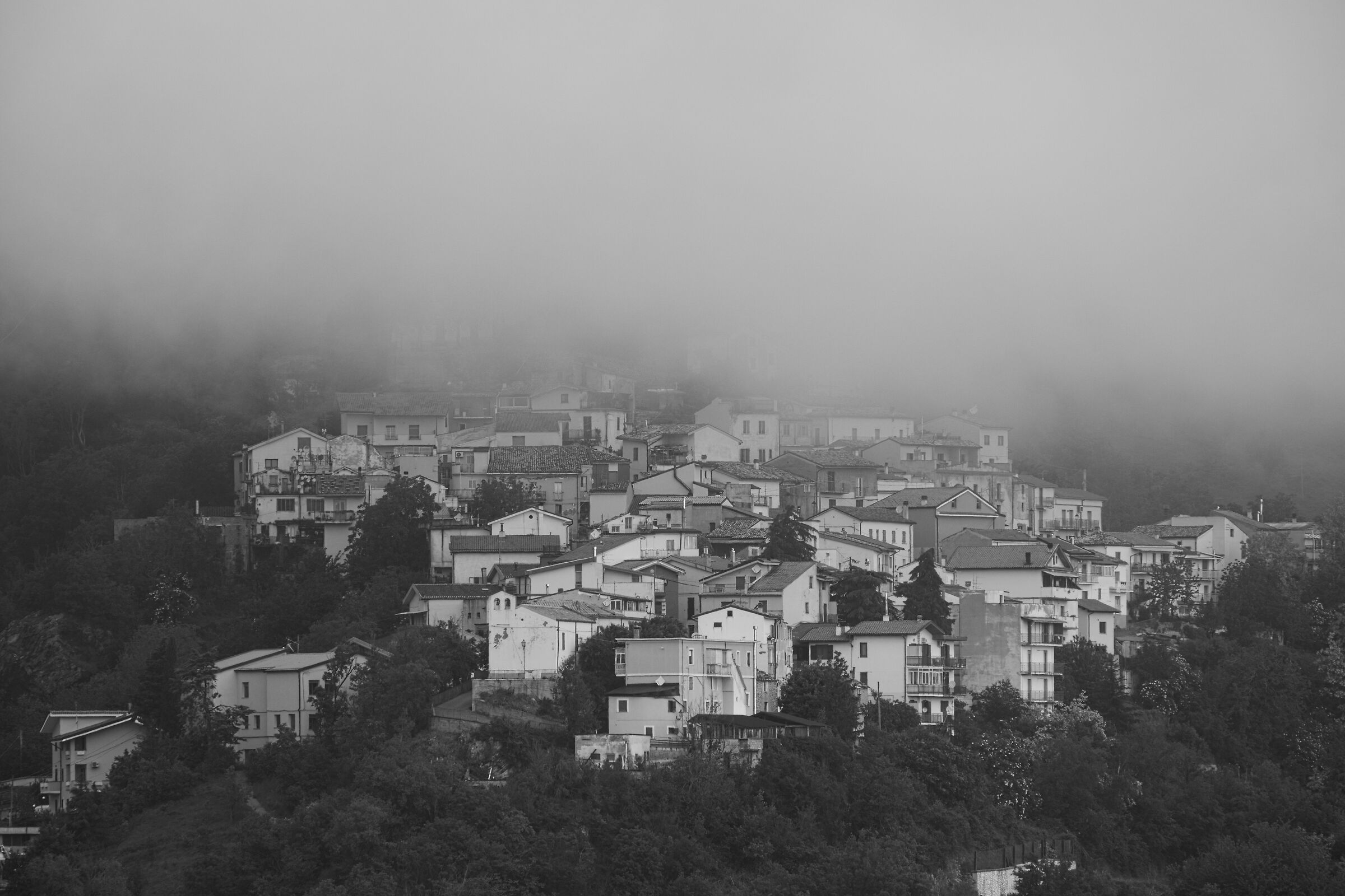 La nebbia