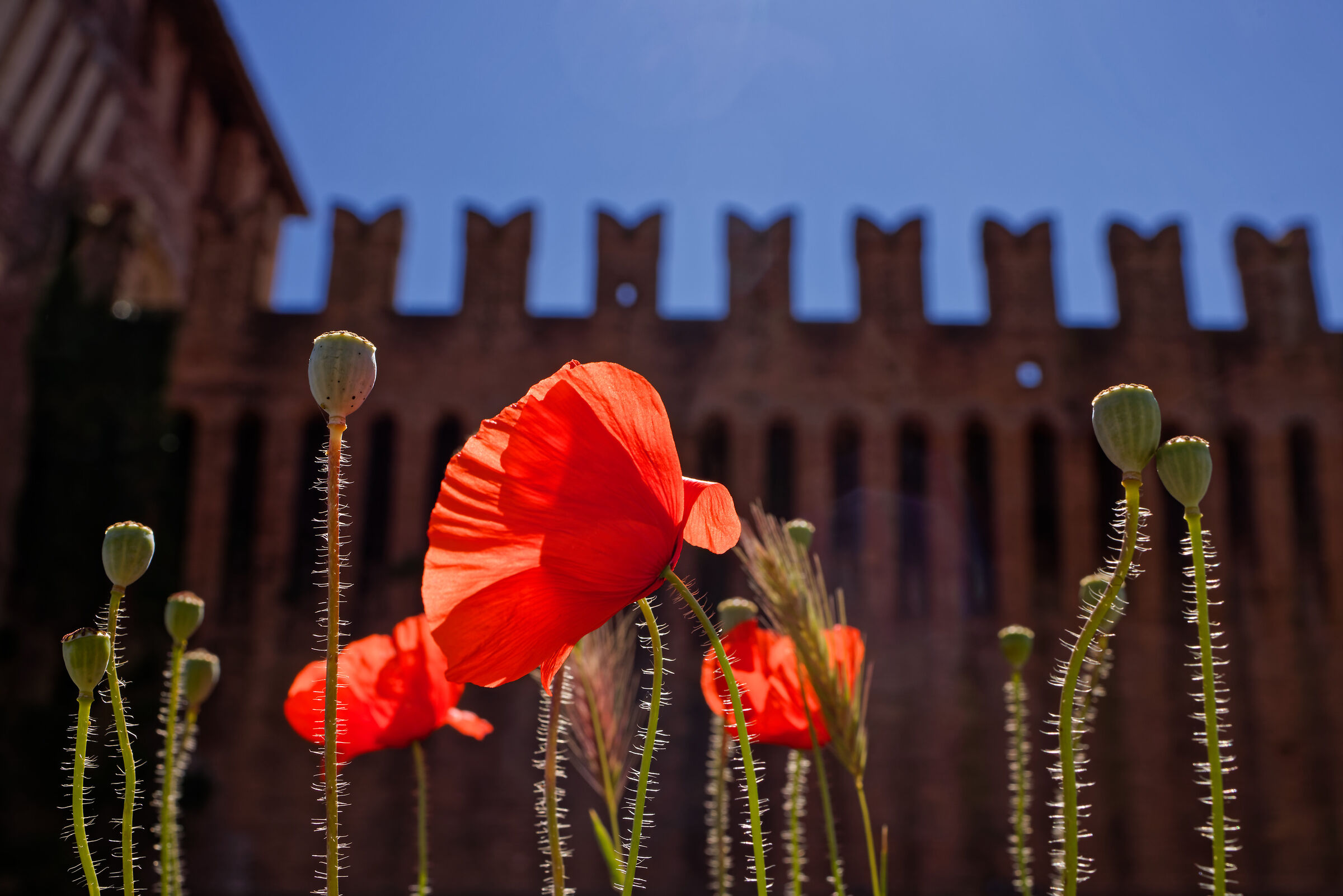 Soncino, 2026