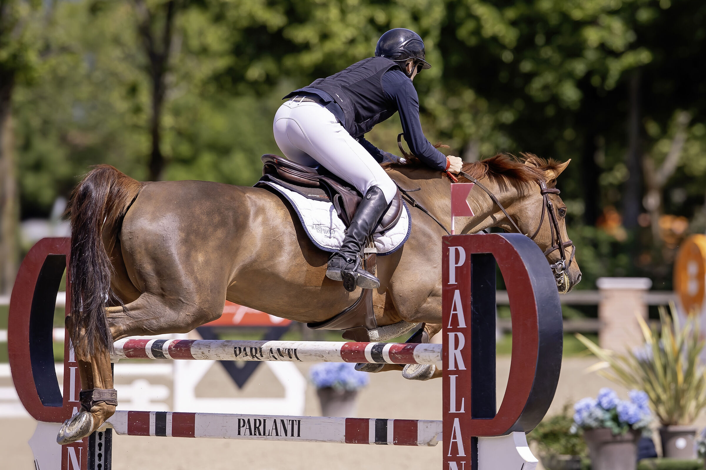CSIO 3*LONGINES EEF Series Italy