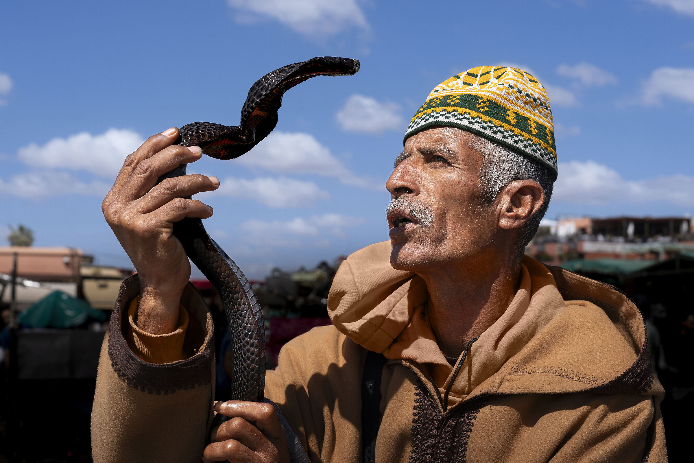 The snake charmer