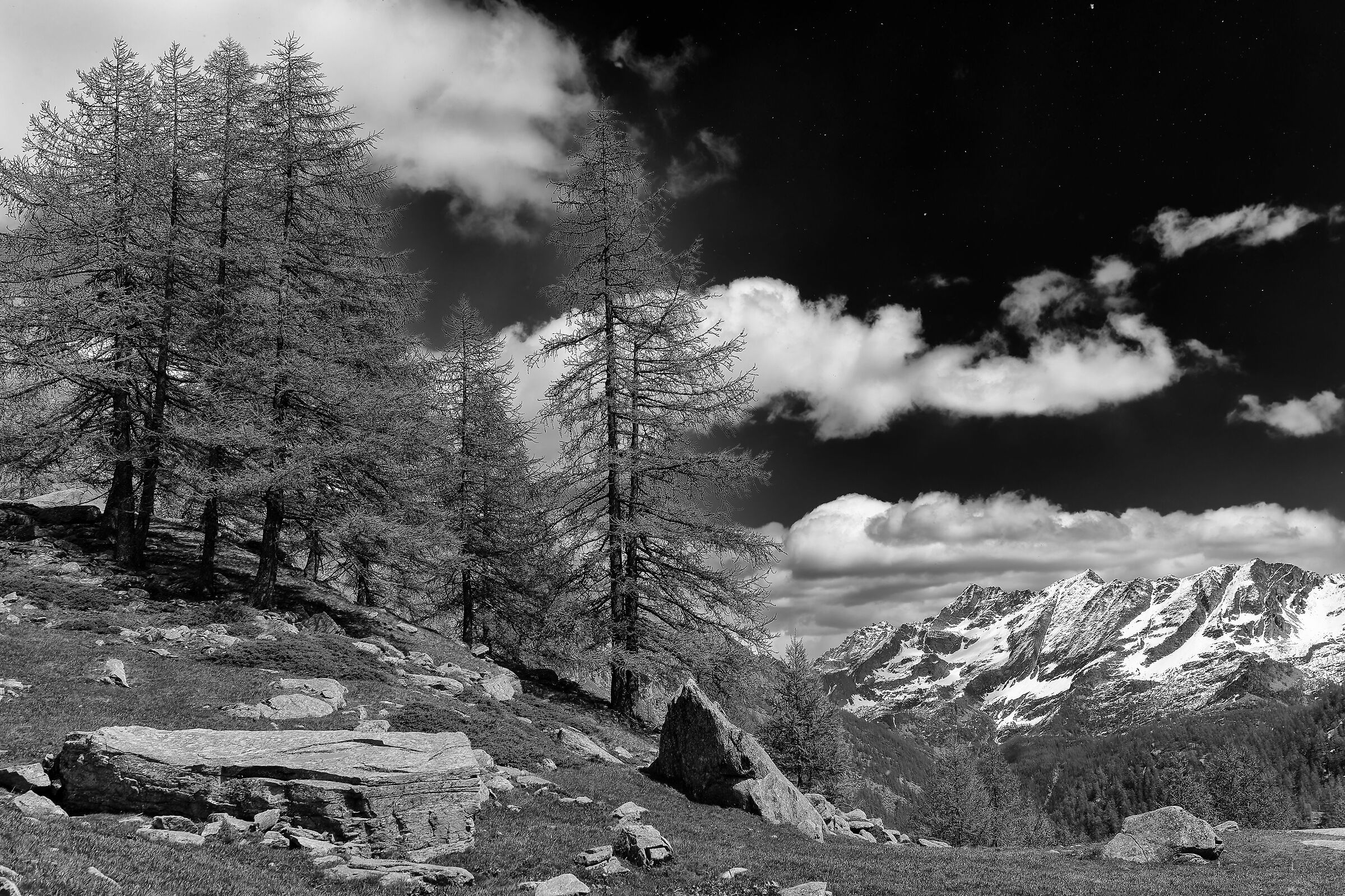 Parco Nazionale Gran Paradiso - Valle Orco - Piemonte