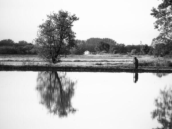 Foto