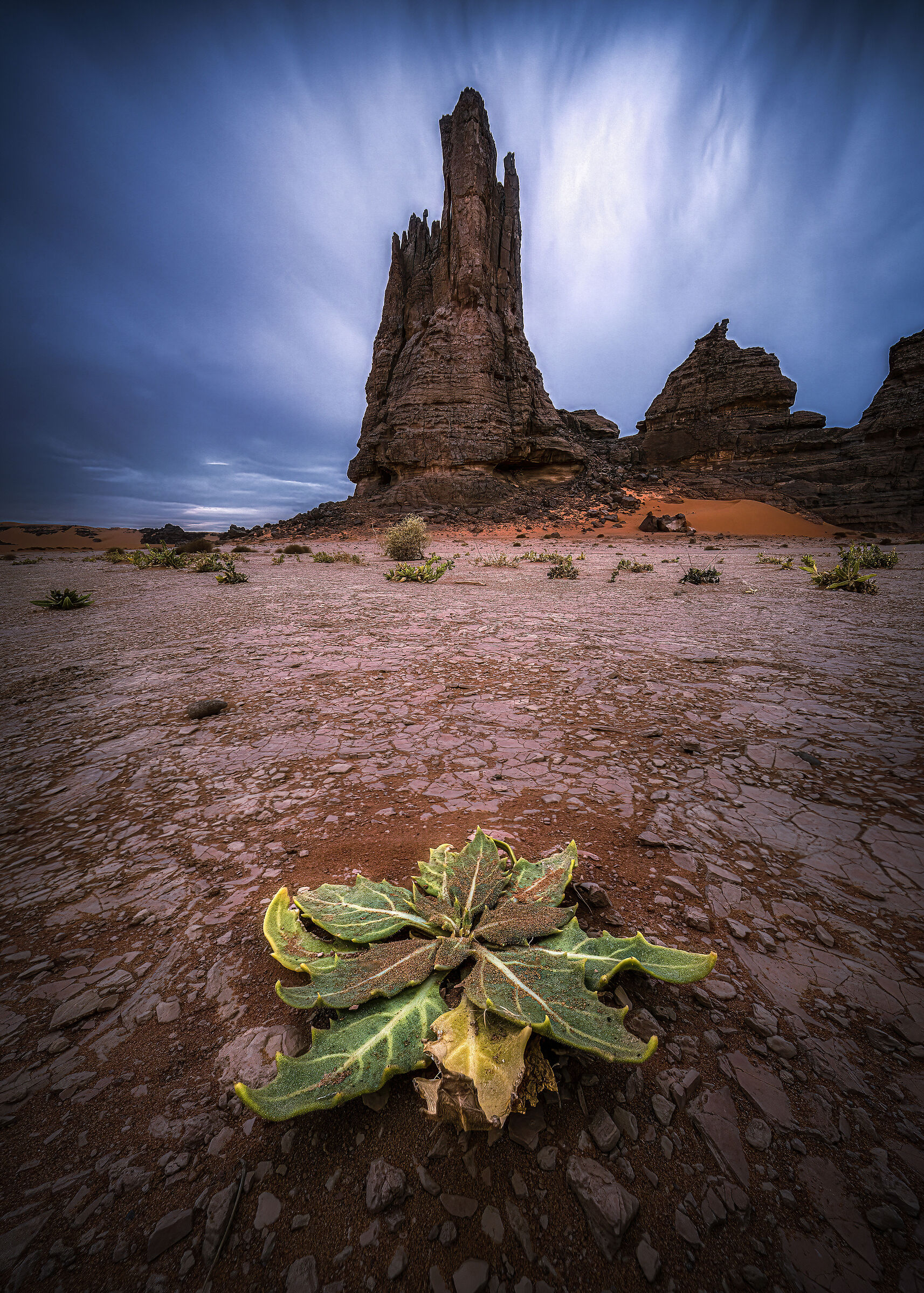 Pioggia del deserto