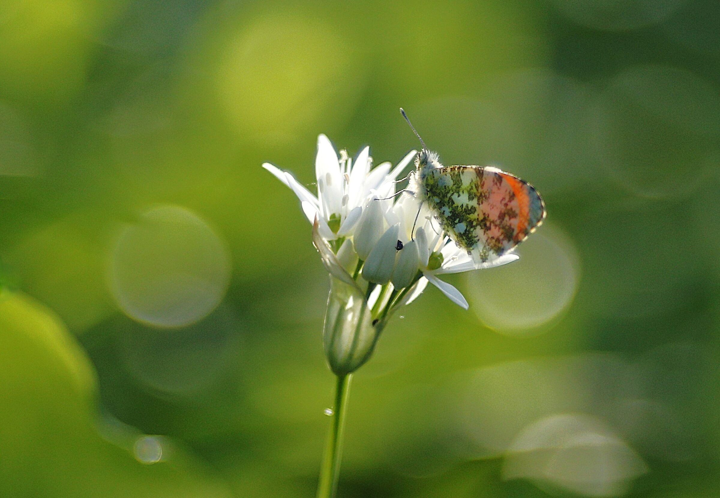 Untitled Photo