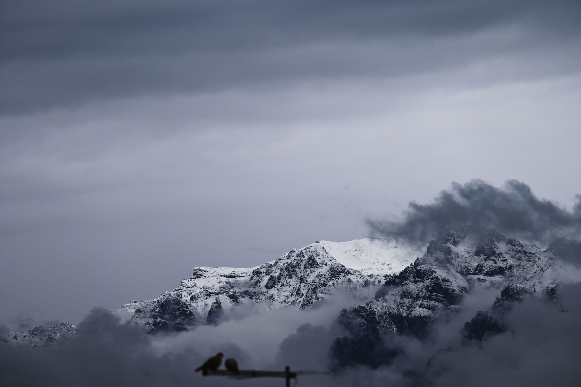 Pasubio. Un inverno di maggio