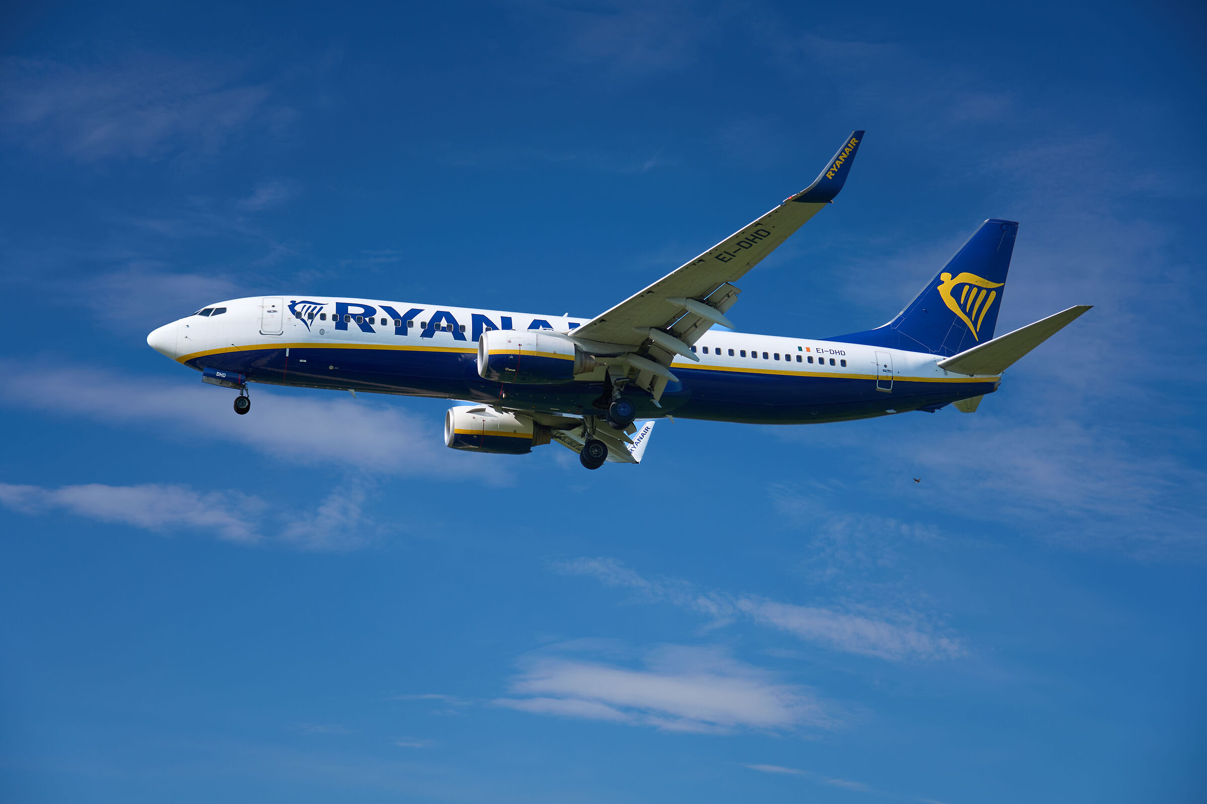 Avifauna o aviazione civile?