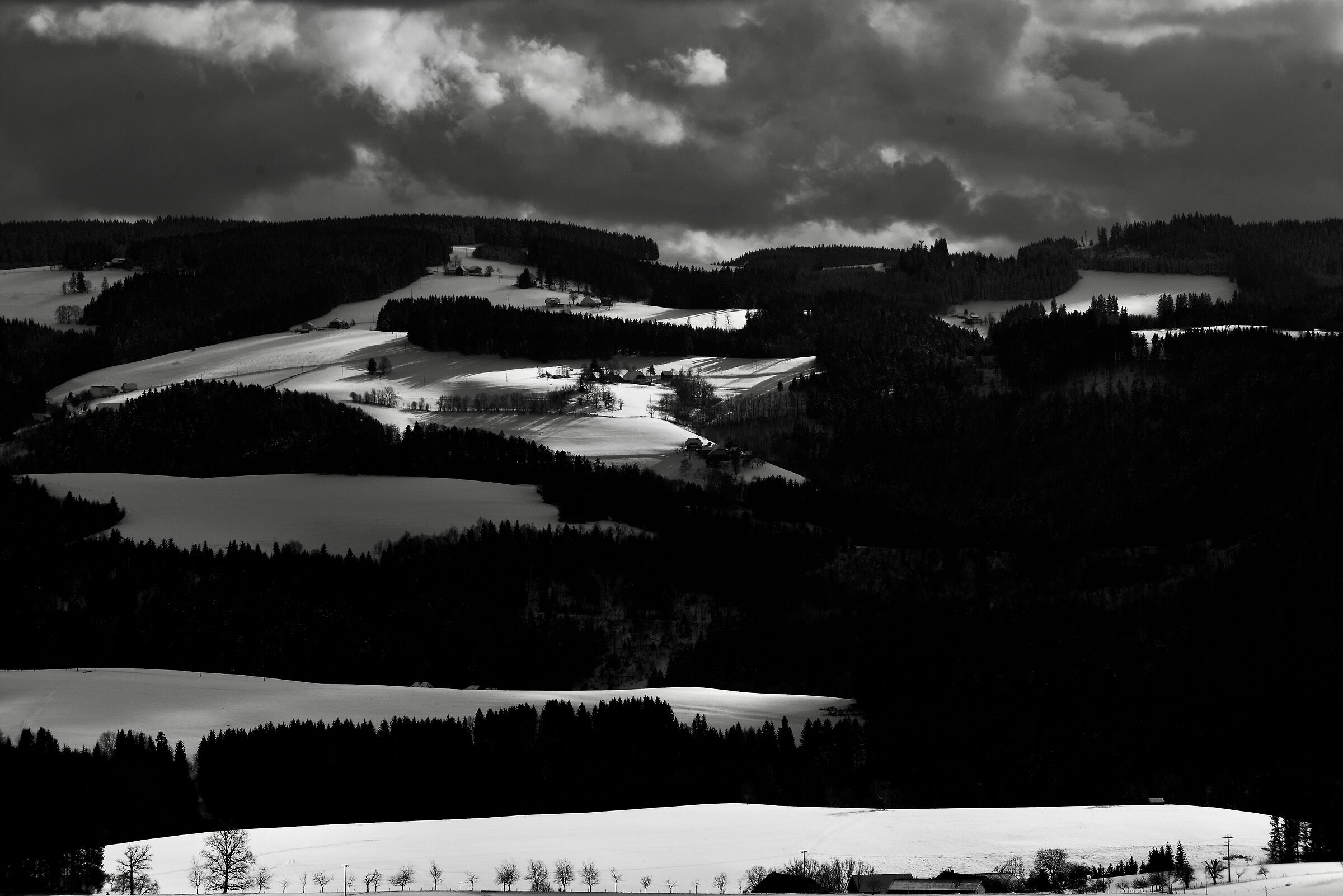 Black & White