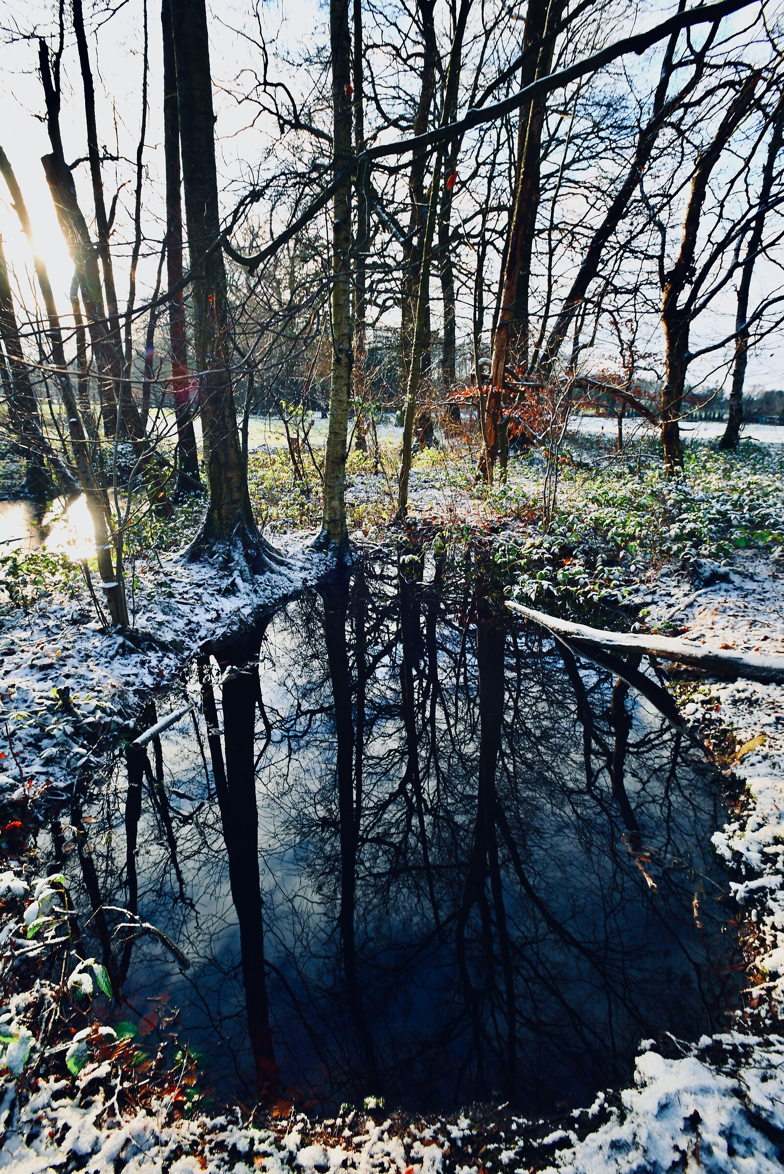The cold Pool