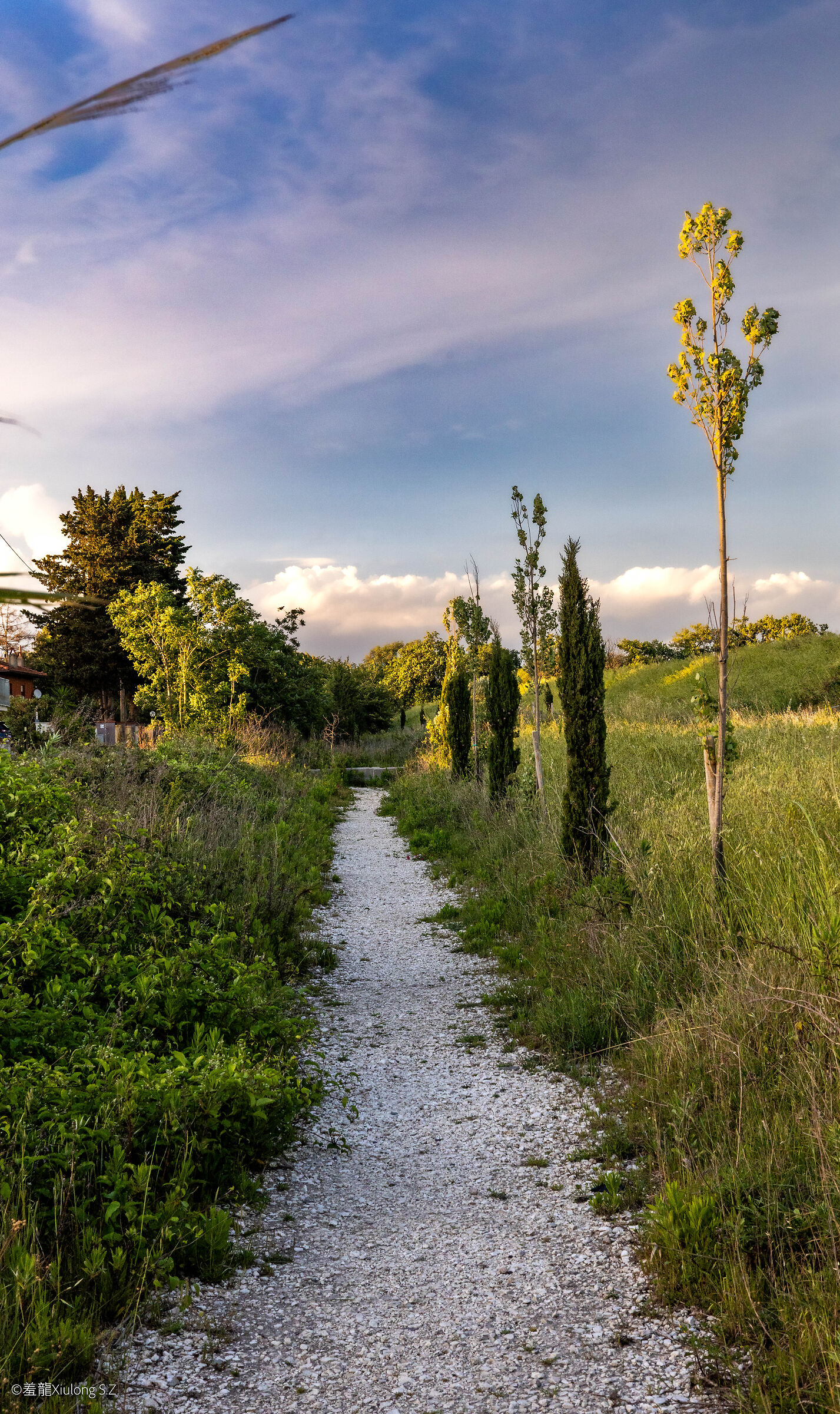 Via dell'Uliveta towards Via di Maestrale