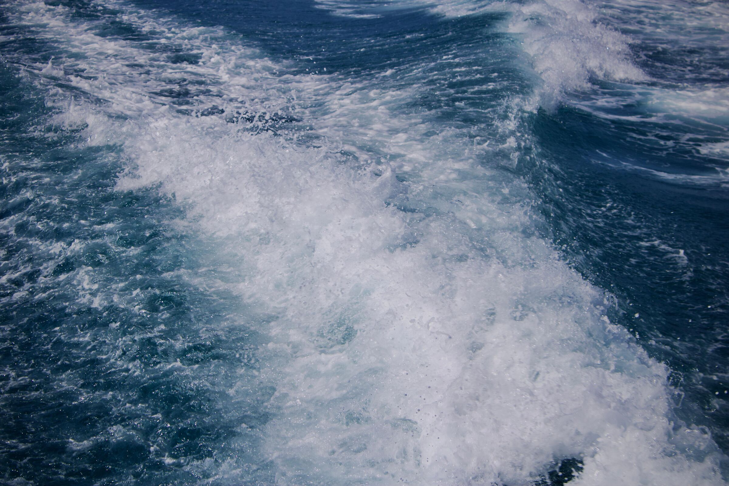 mare