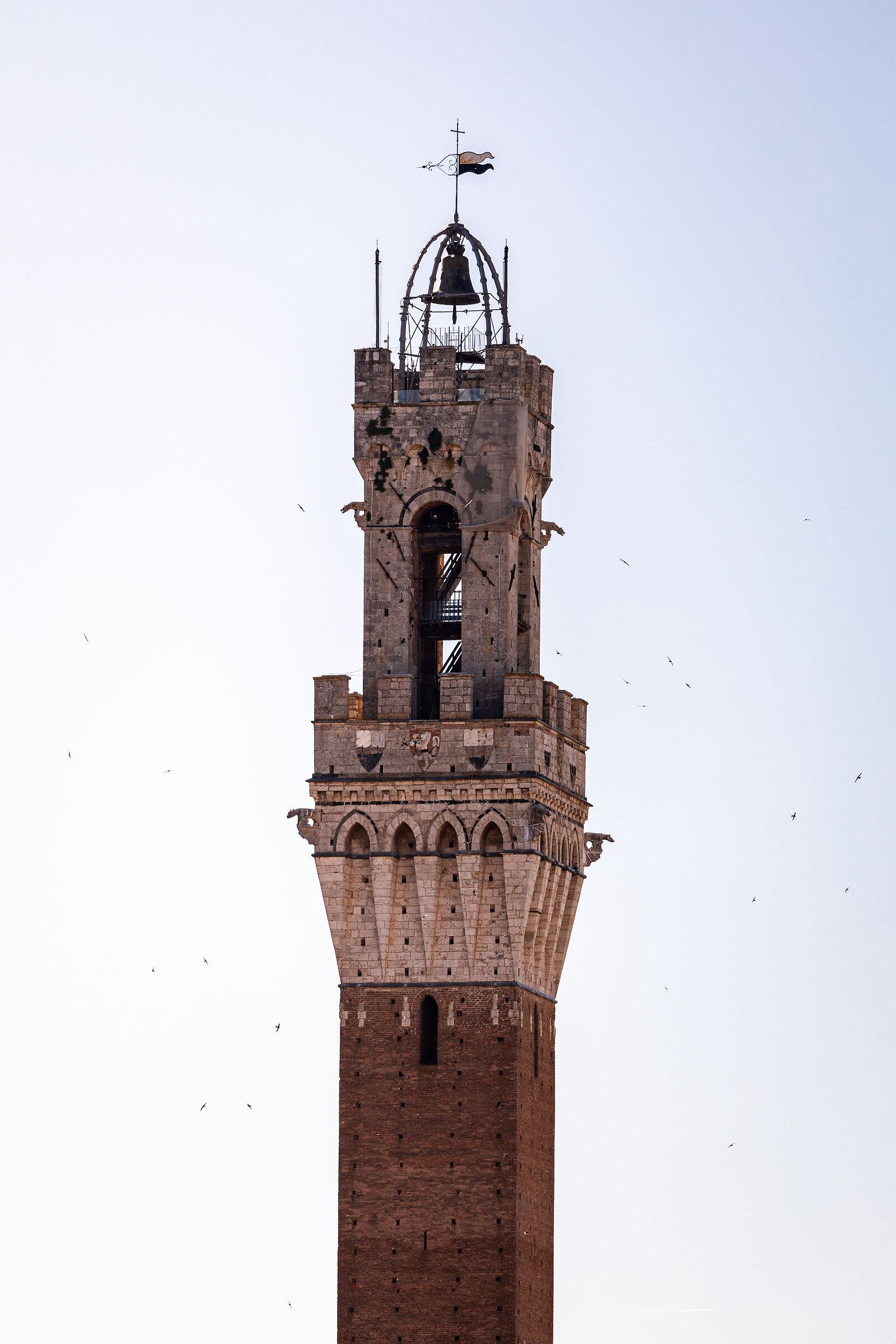 Siena