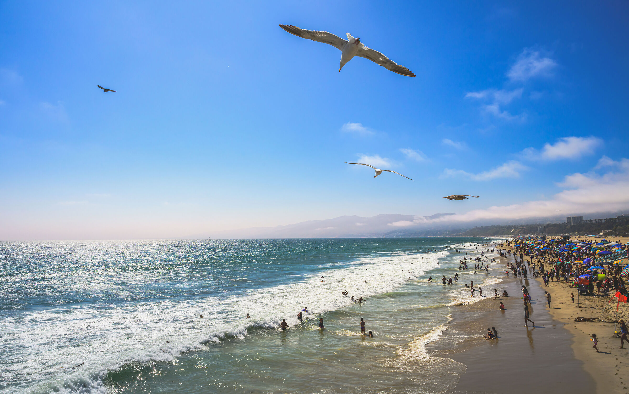 santa monica