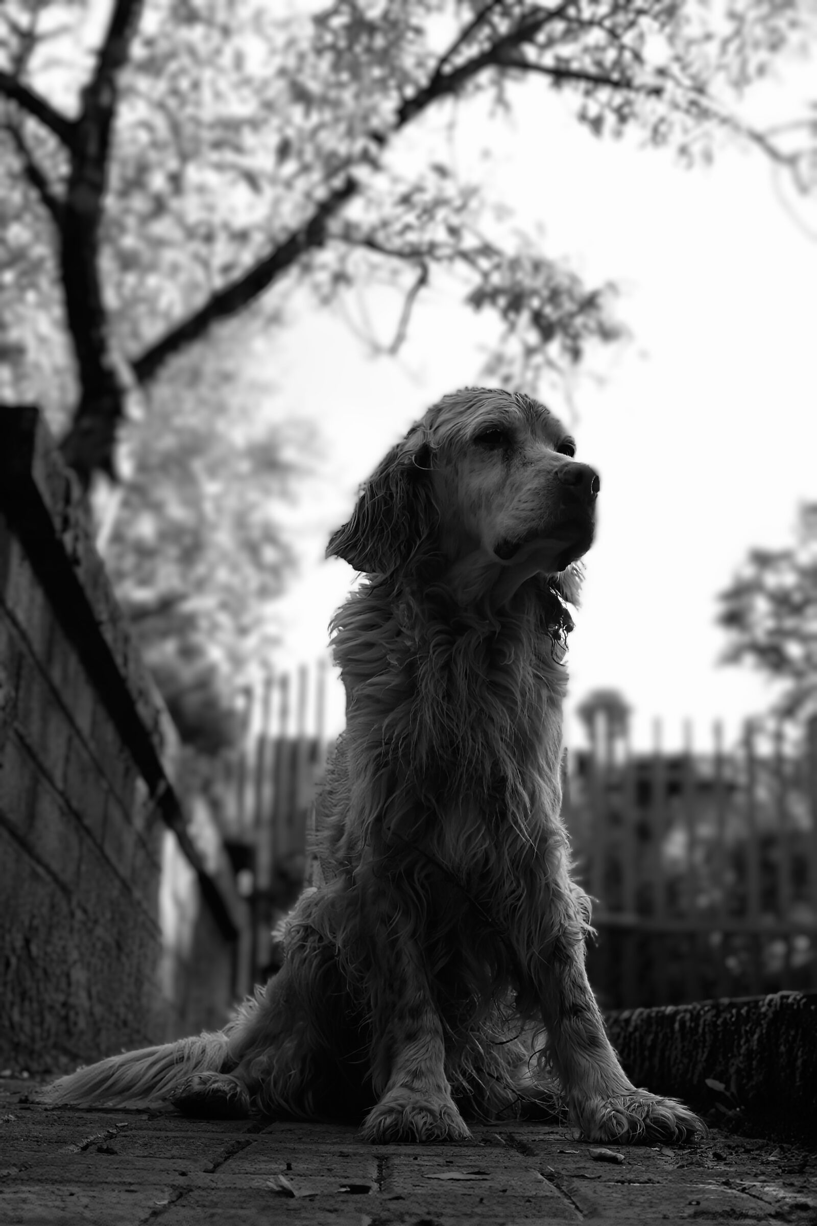 Untitled Photo