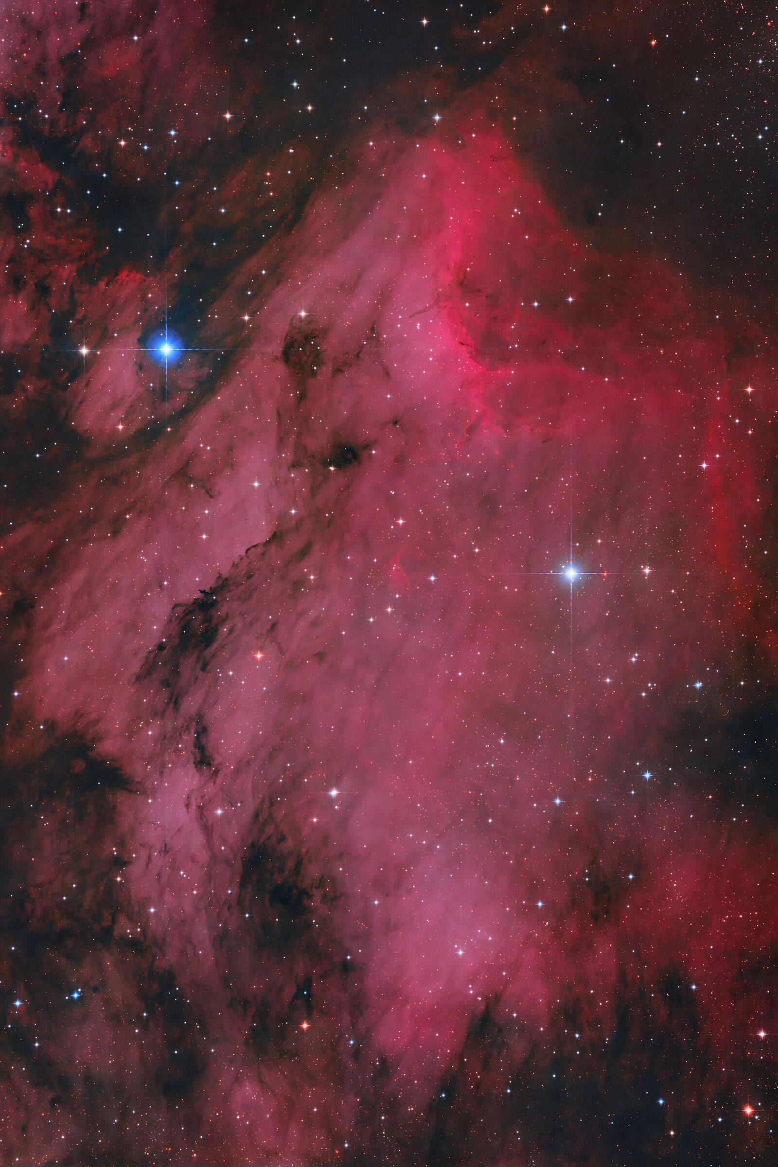 The Pelican Nebula