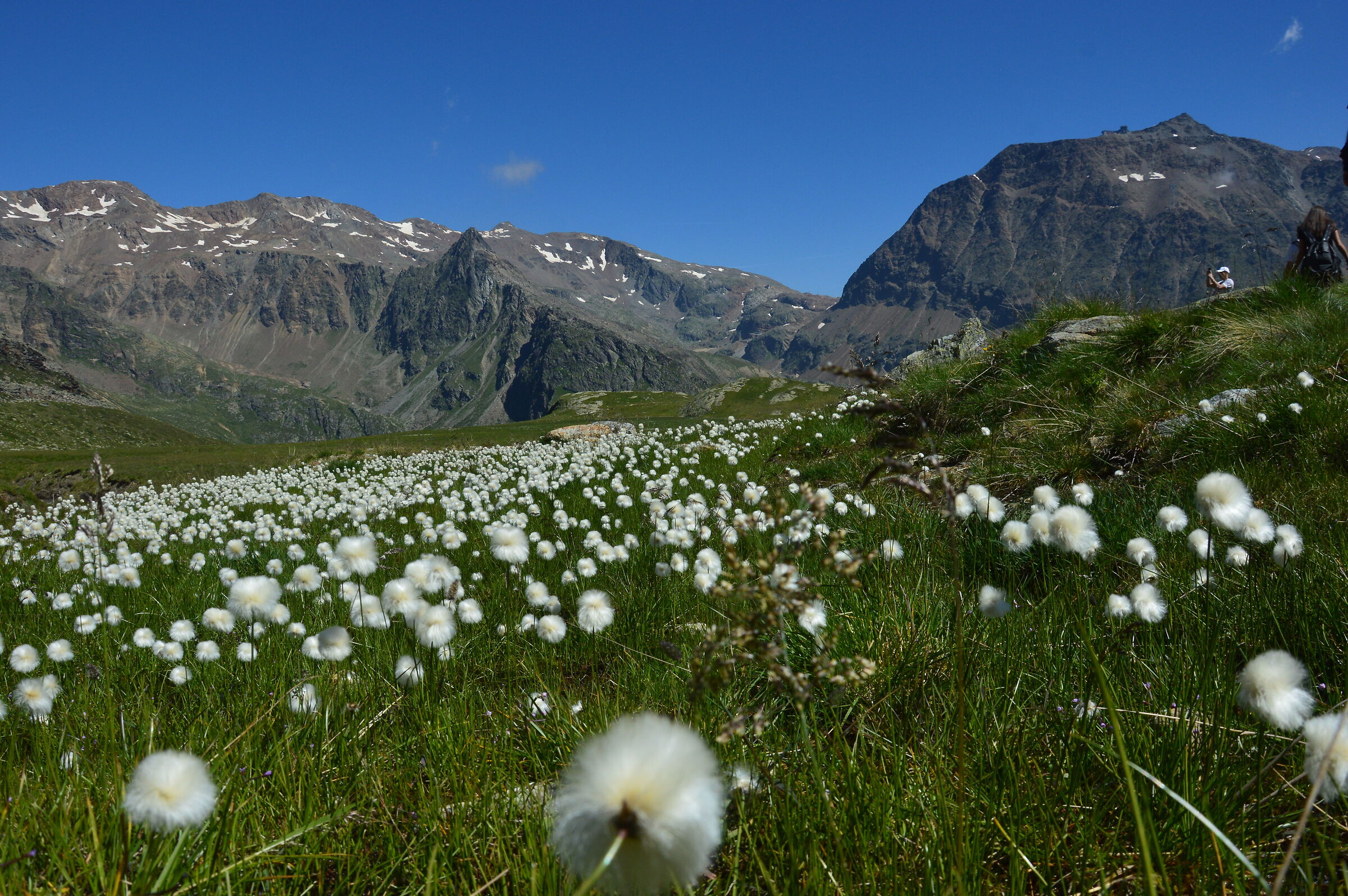 montagna