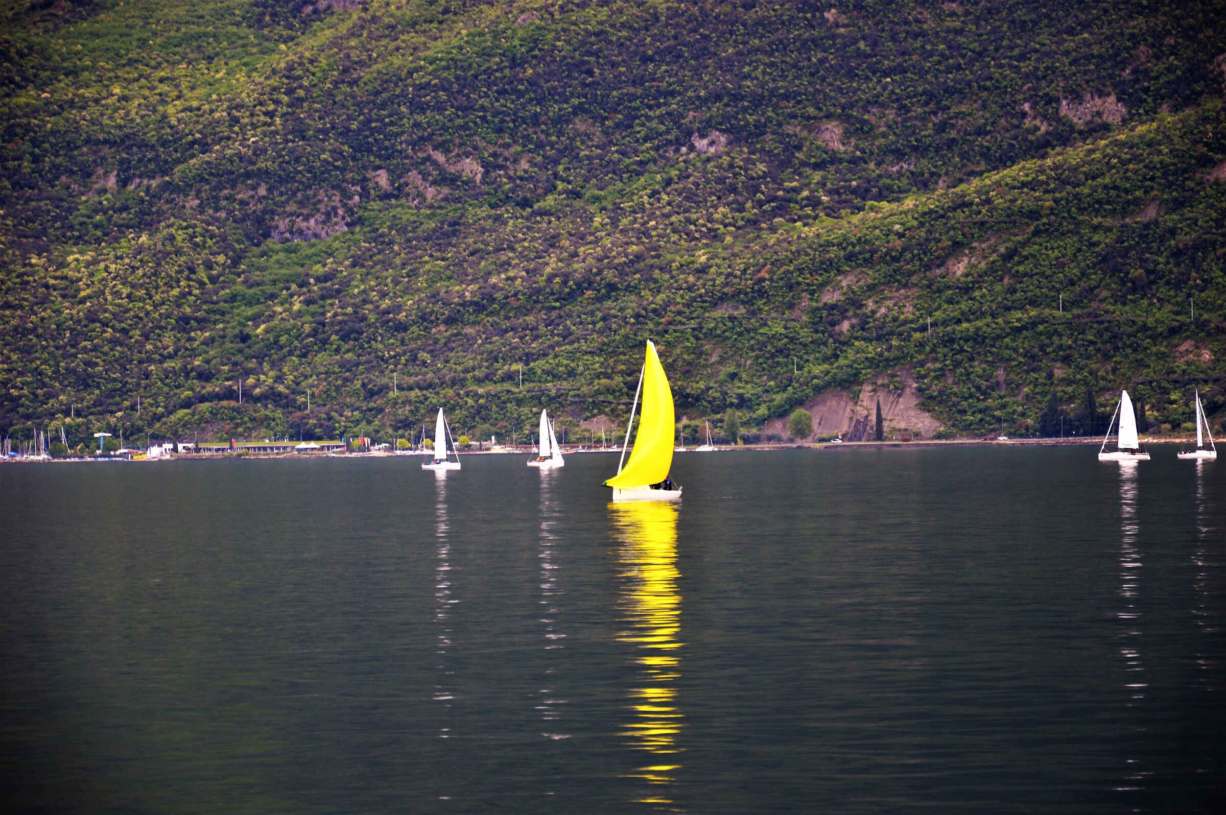 lago garda