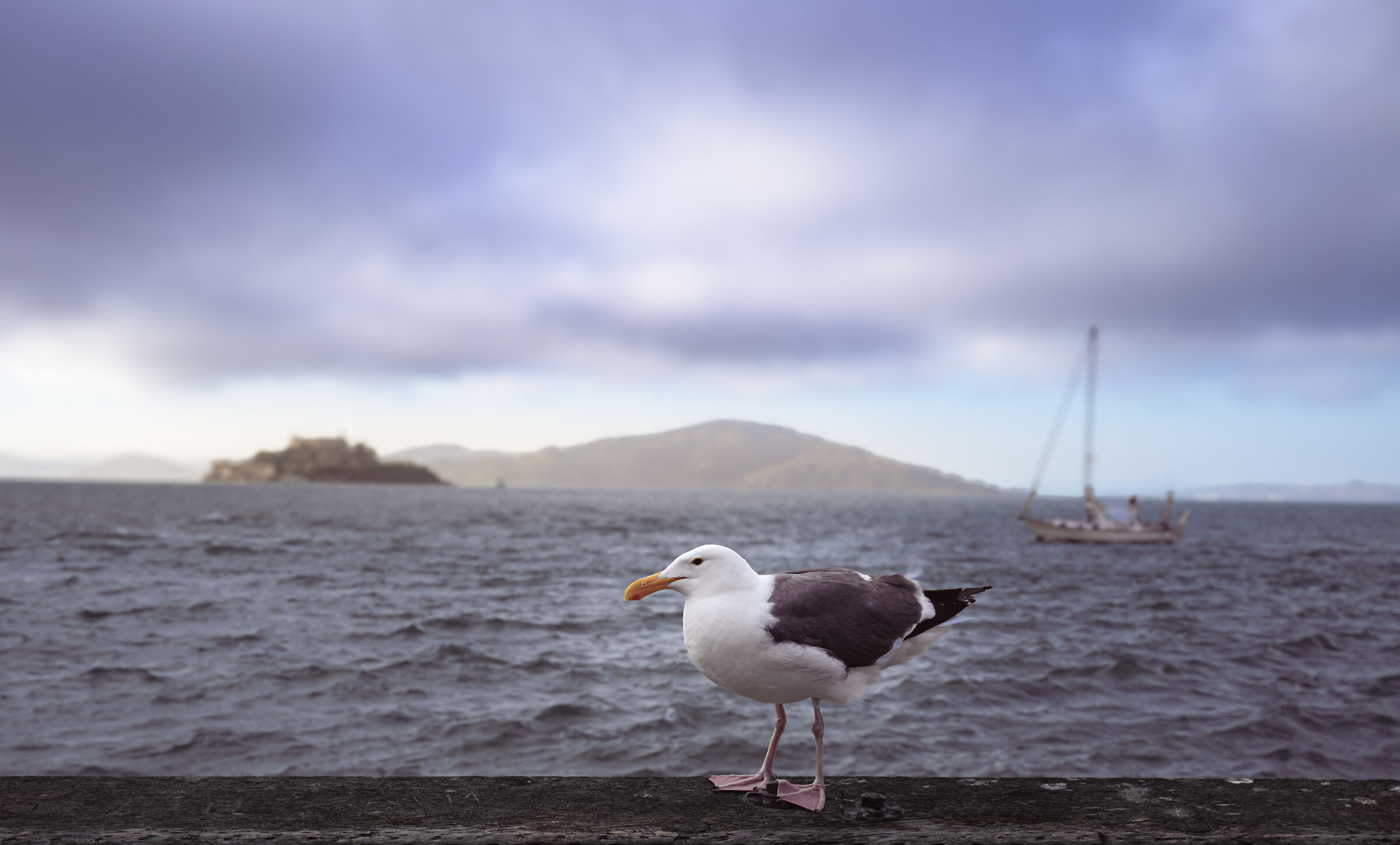 alcatraz