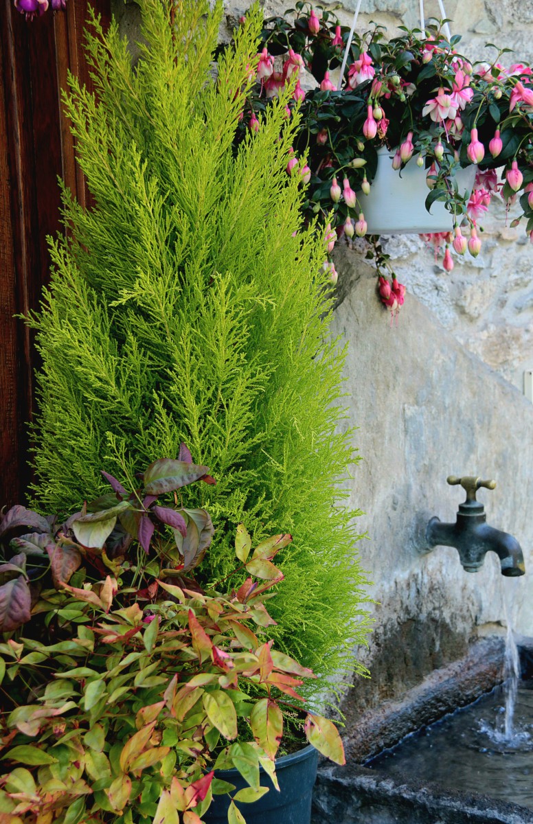 Fontana a Cantoira