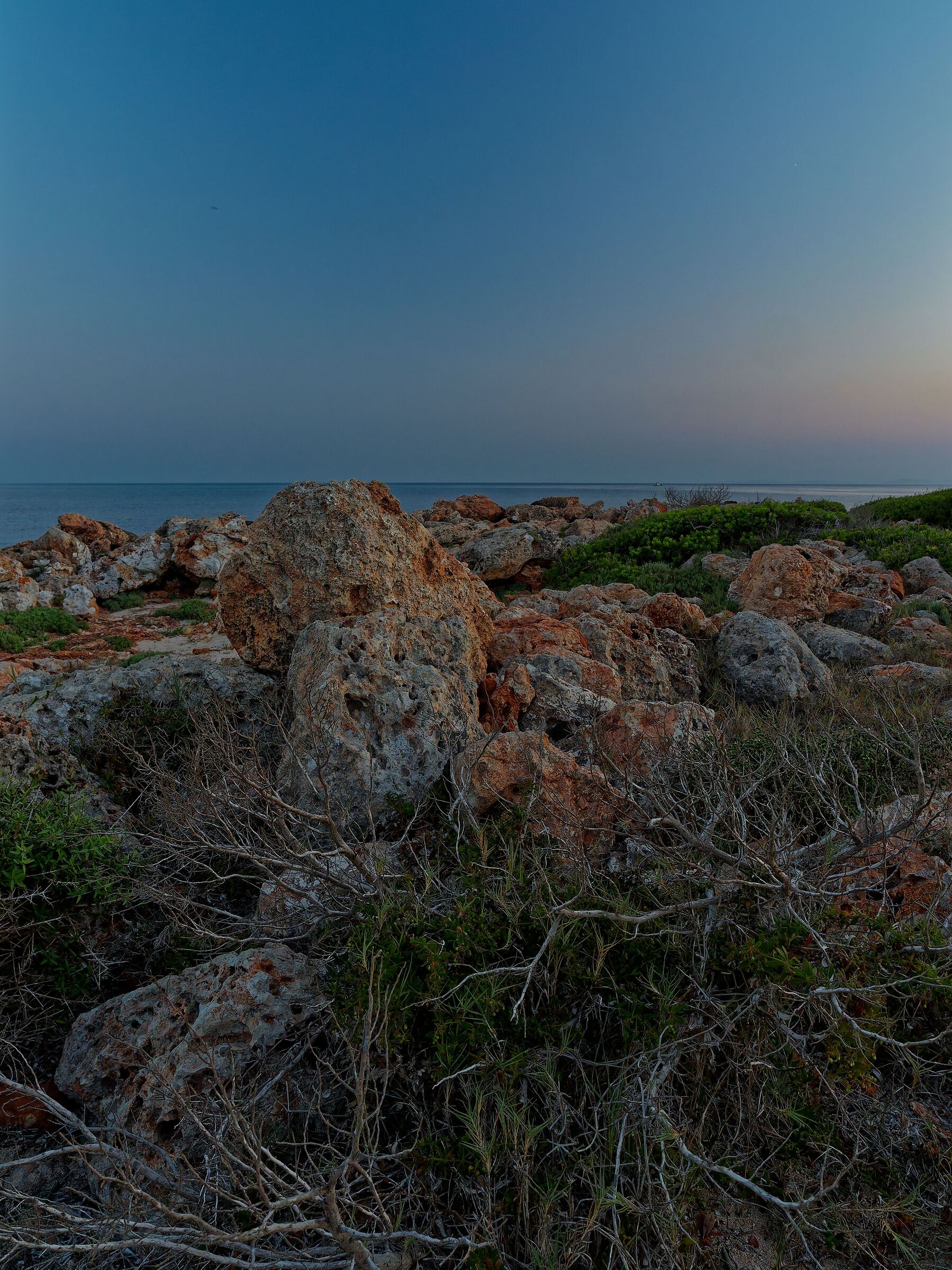 Untitled Photo