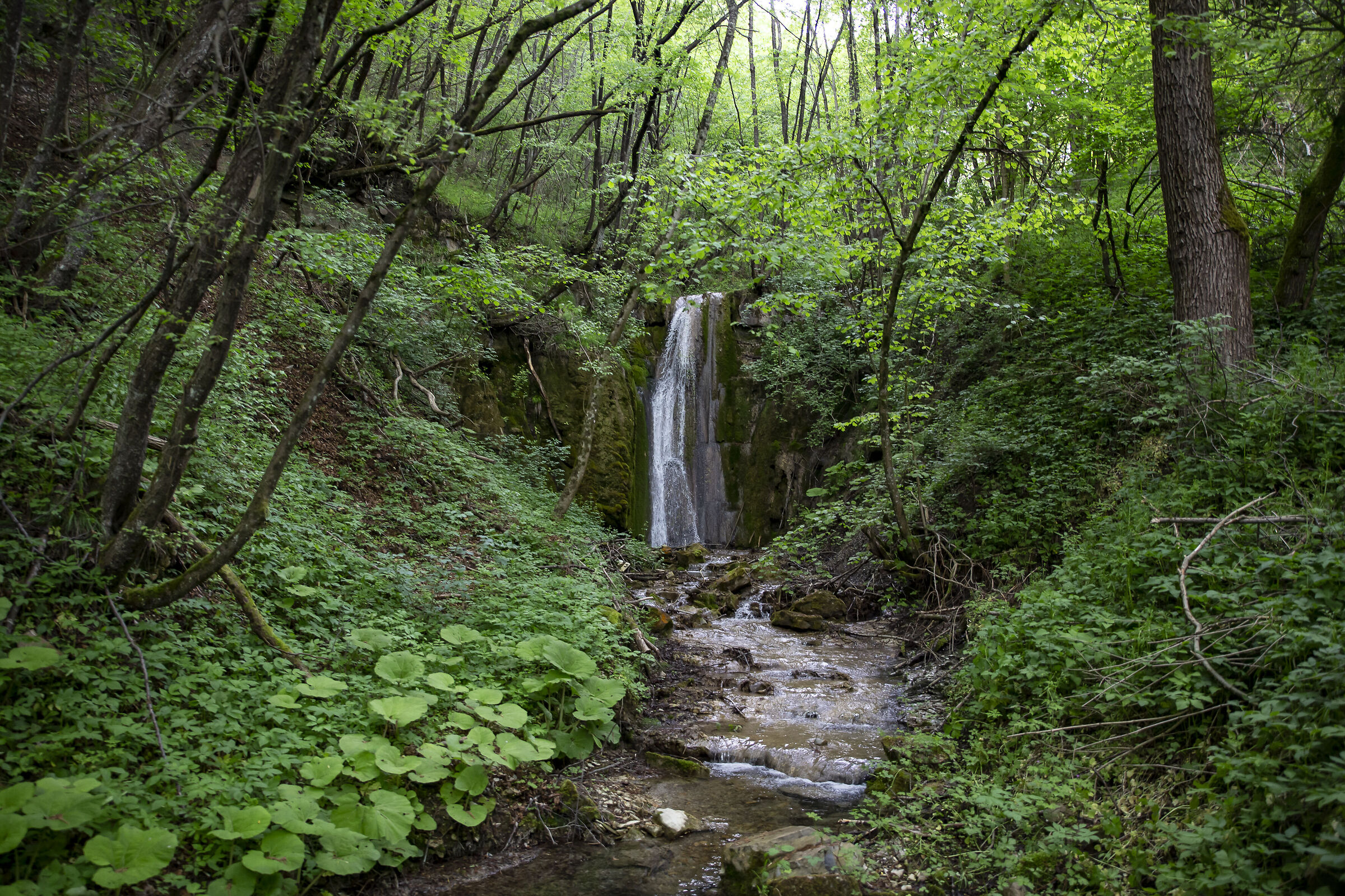 Cascate di Rivarolo