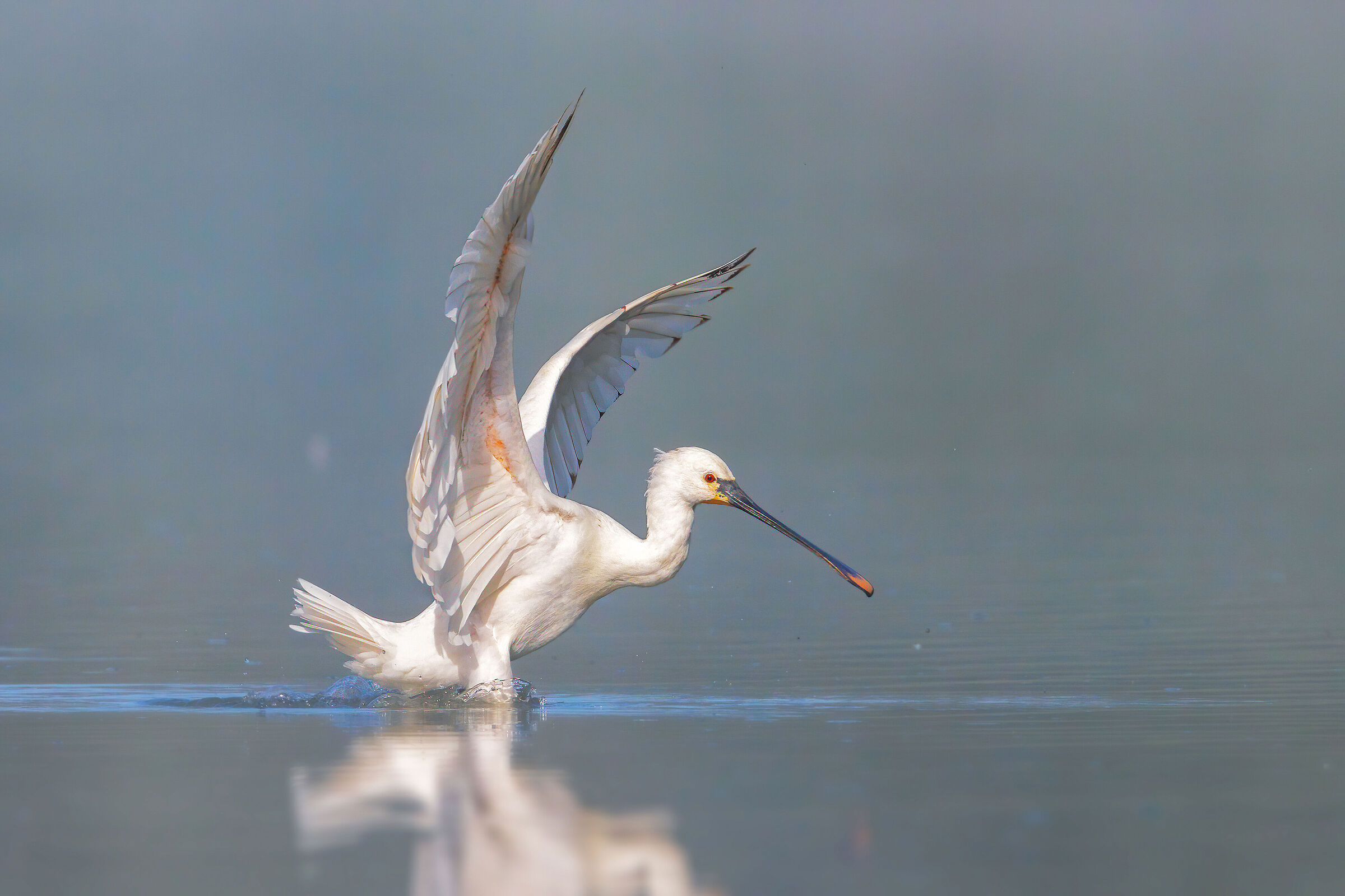 In the fog...