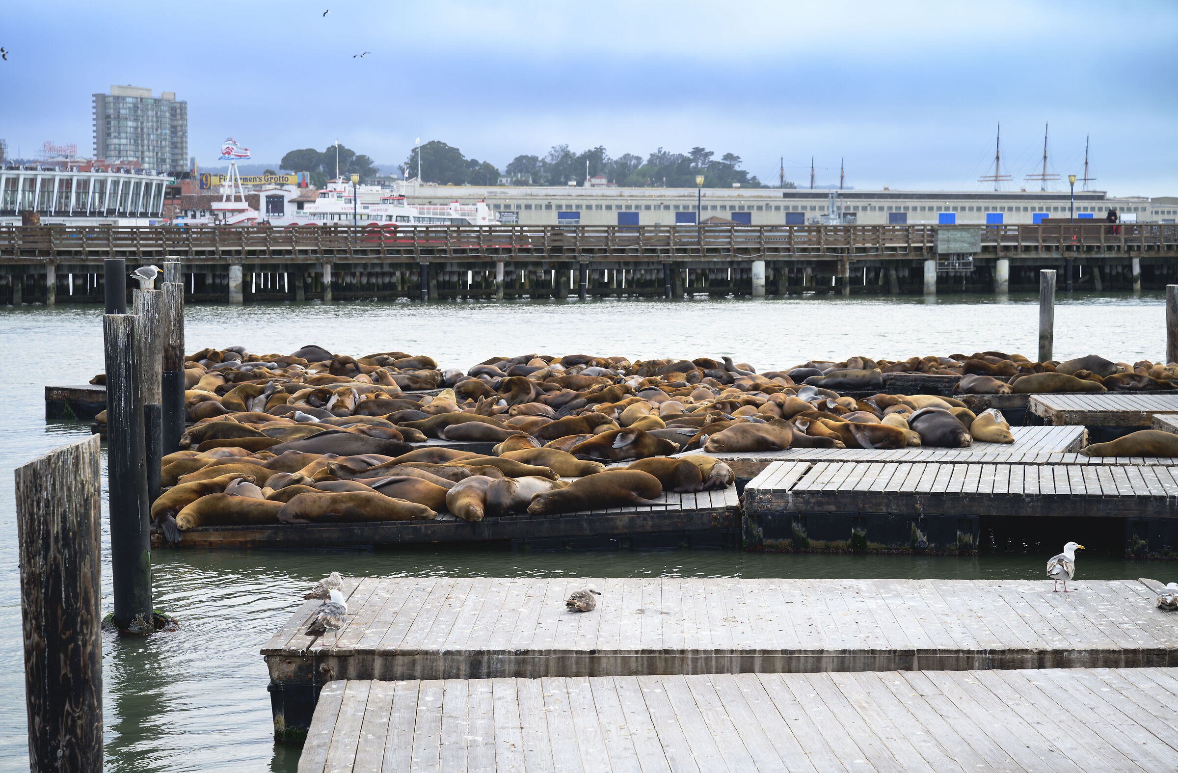 SAN FRANCISCO