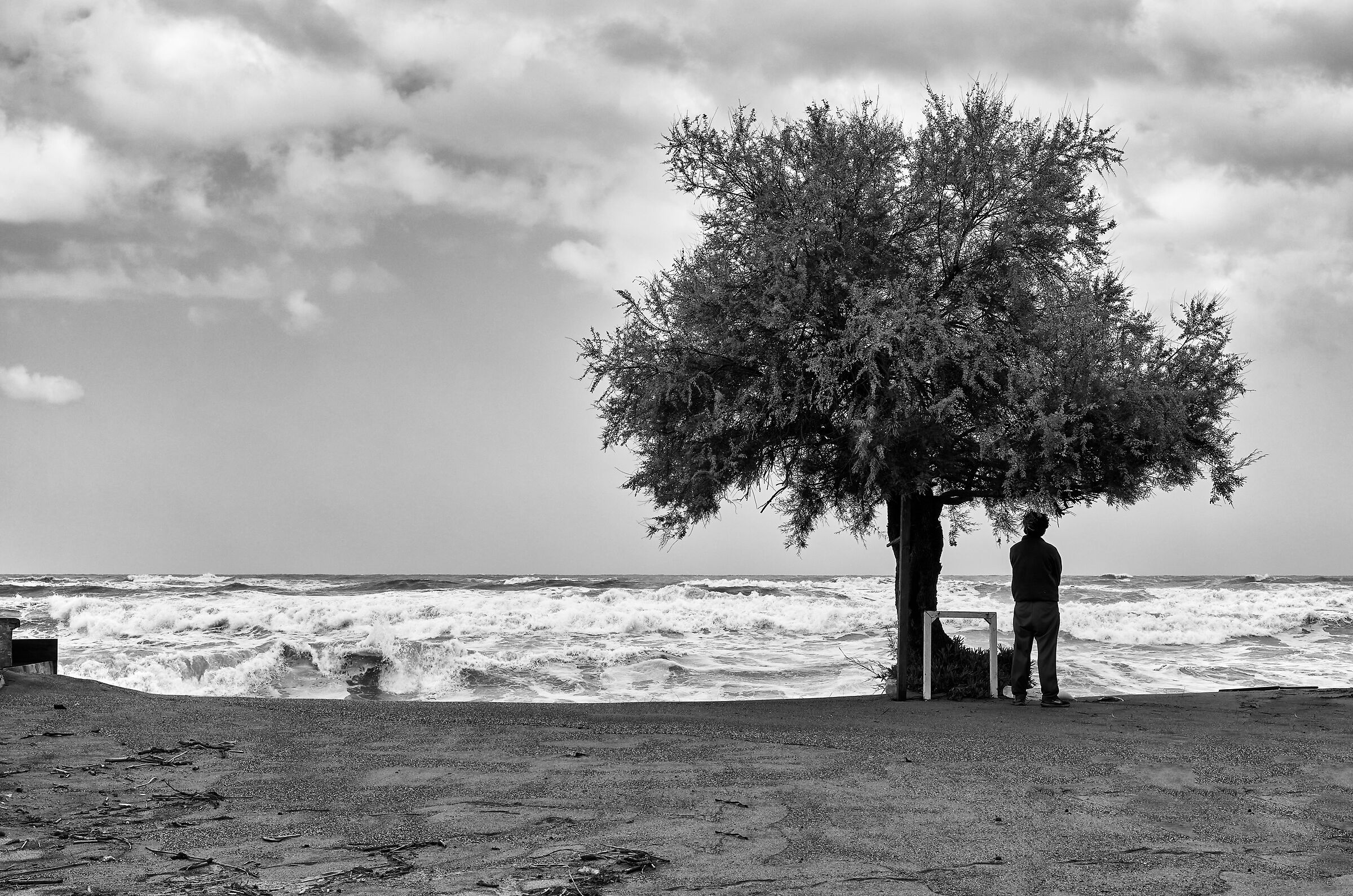 Untitled Photo
