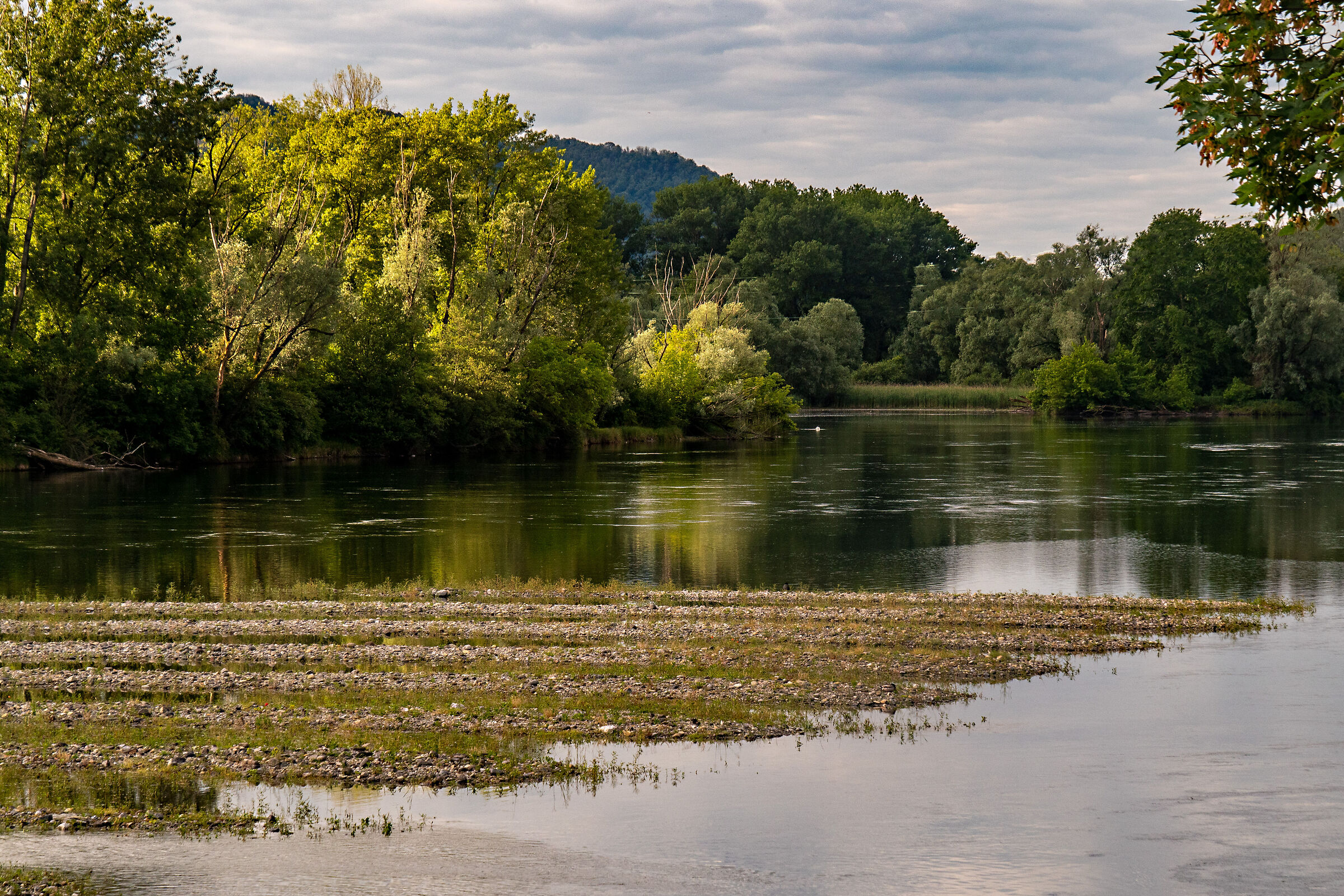 Spring on the Adda