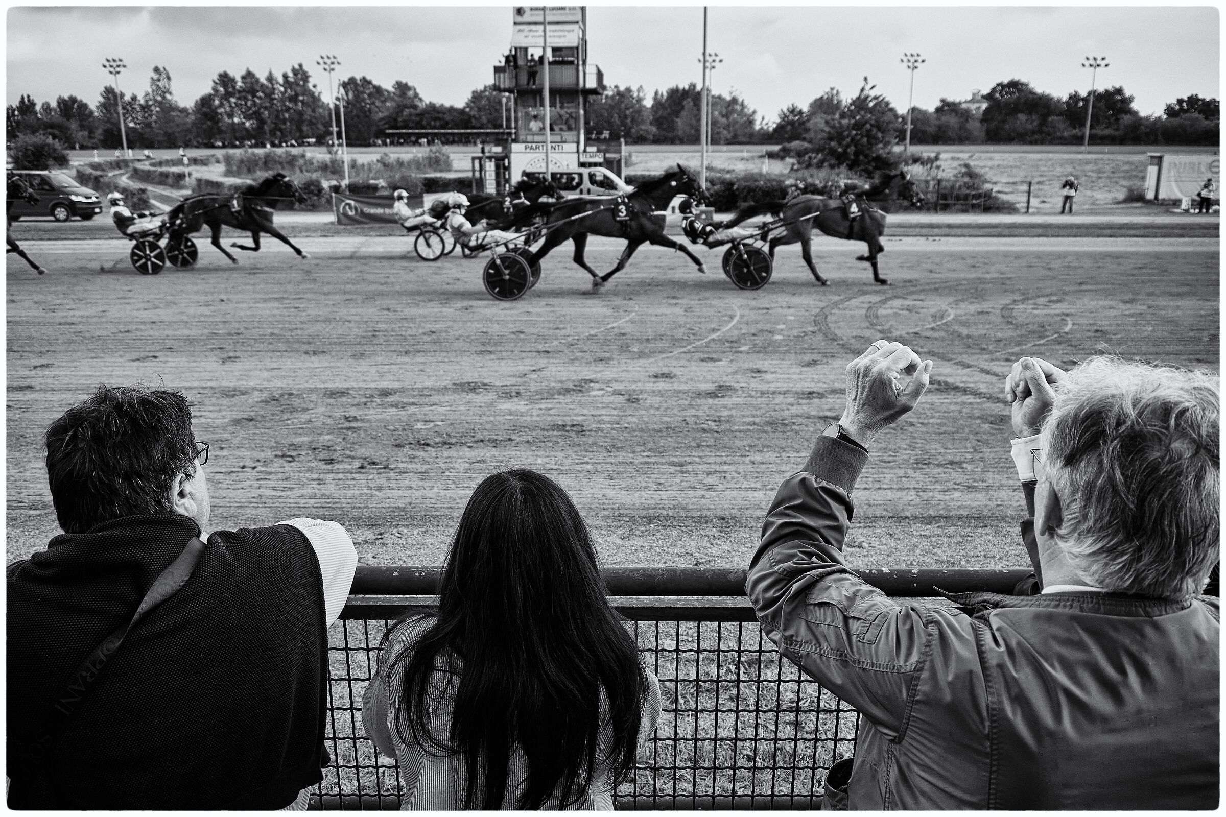 When your horse wins!