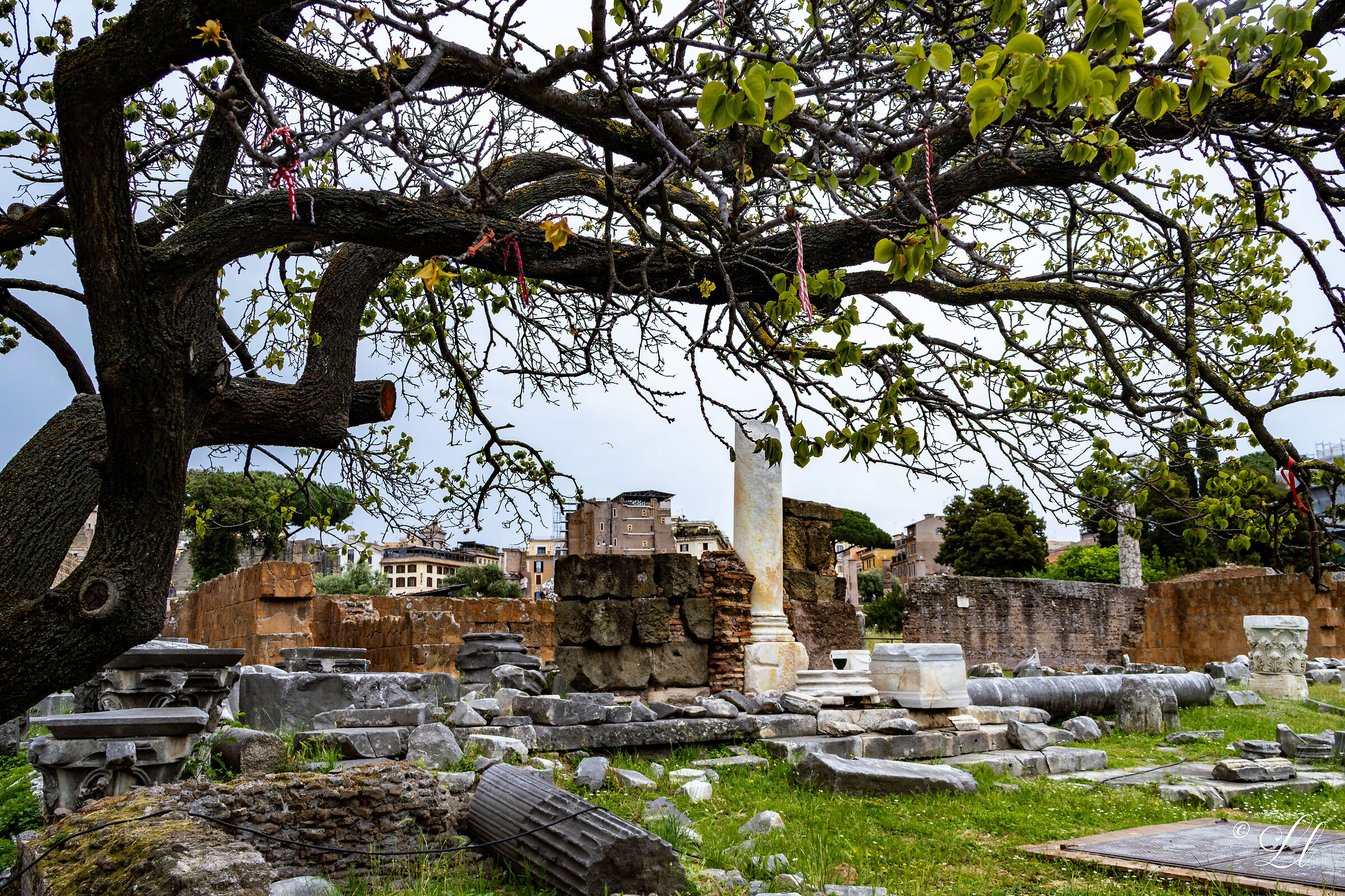 Emozioni e Storia Romana