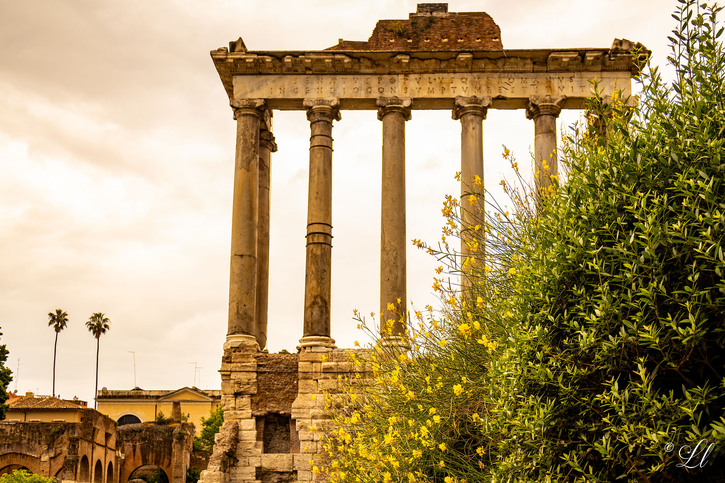 Emozioni e Storia Romana