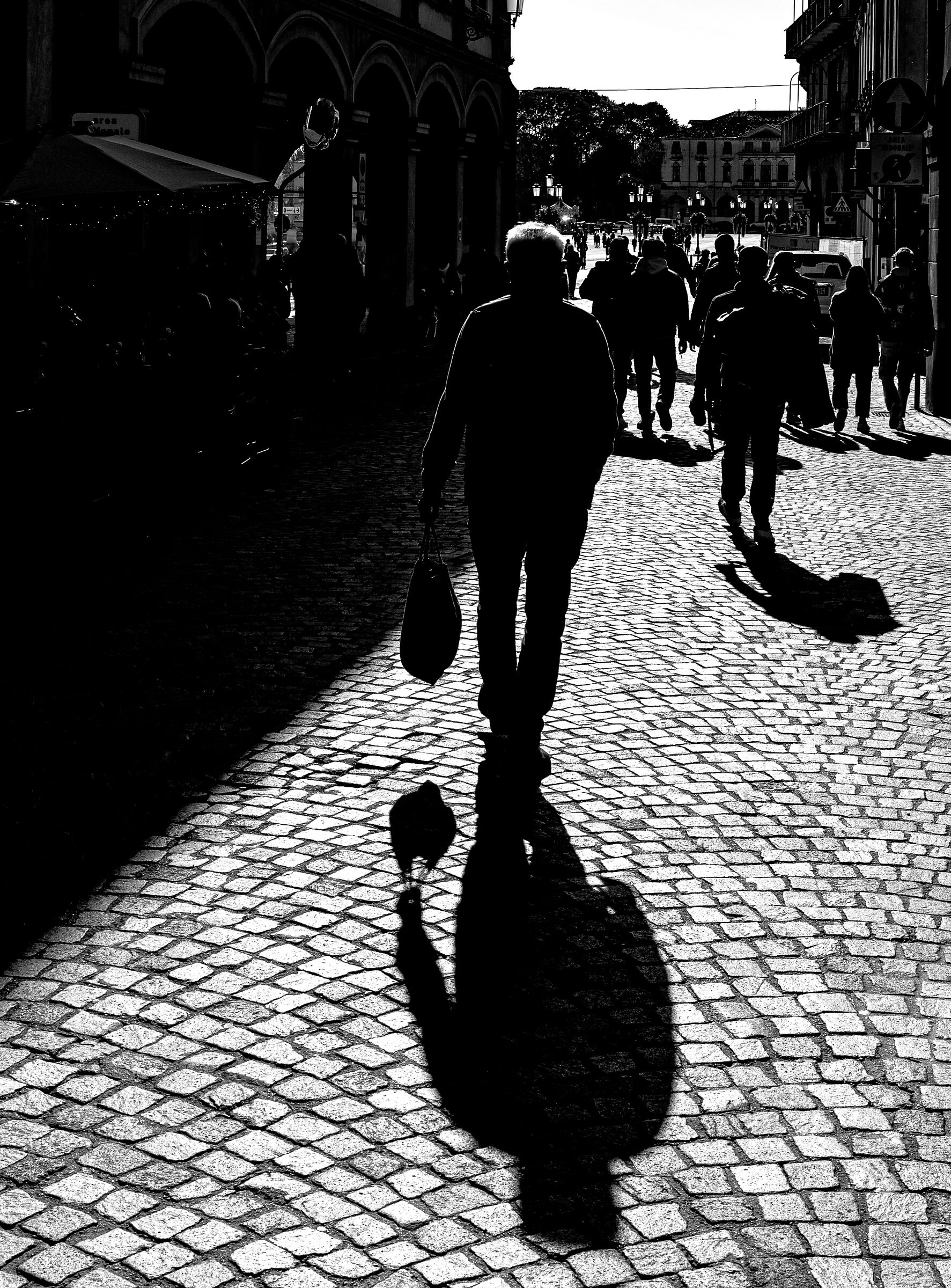 Padua shadows not only of wine...