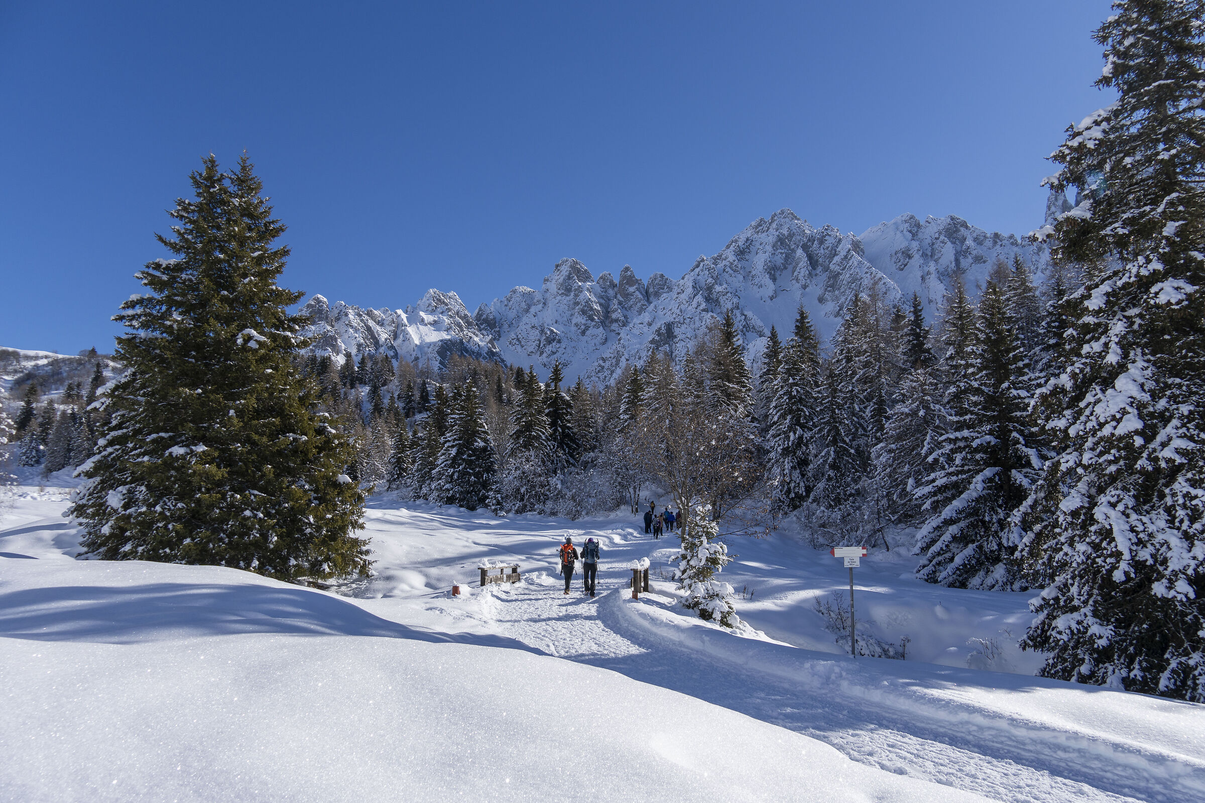 Schilpario