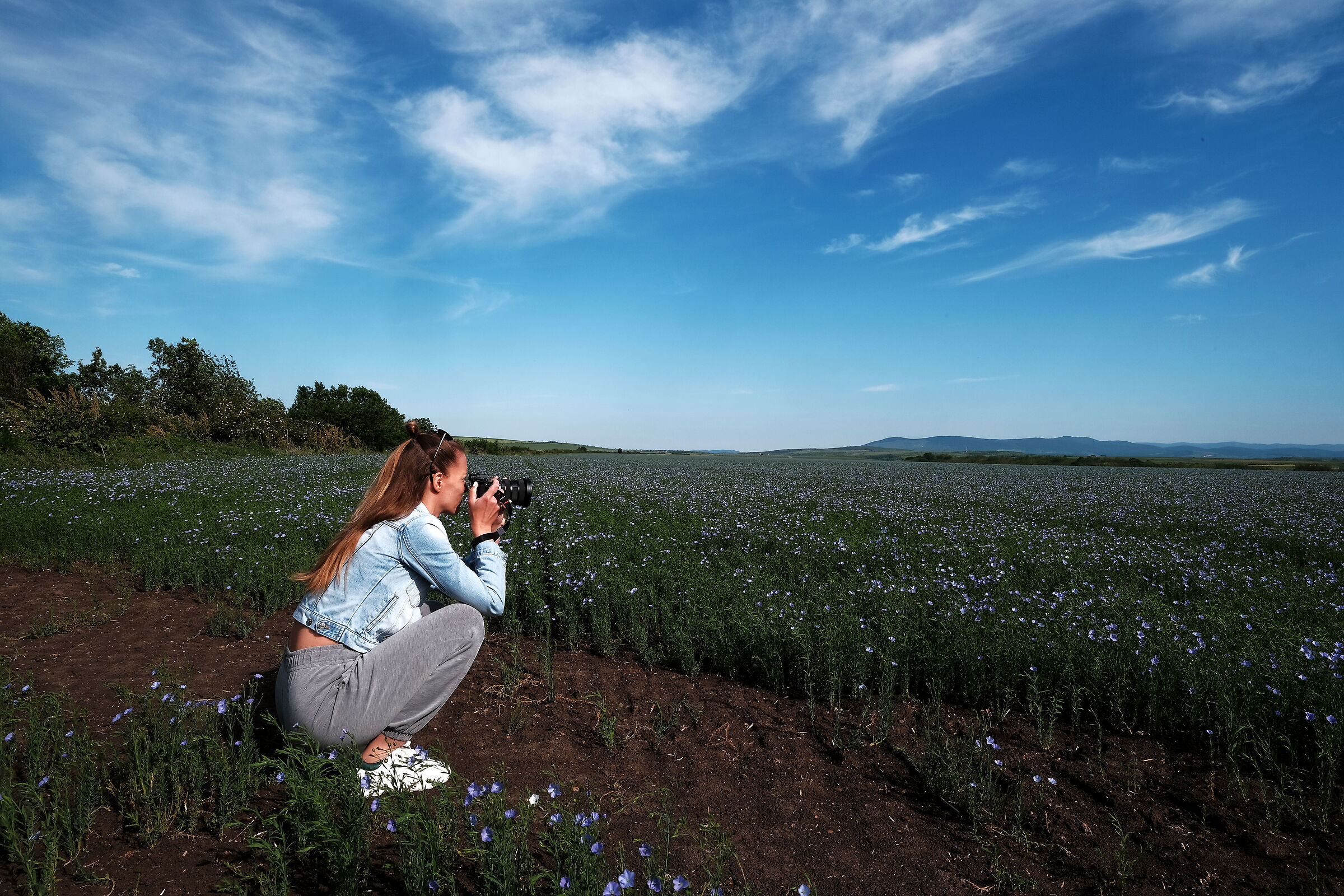 Flax field with Kate