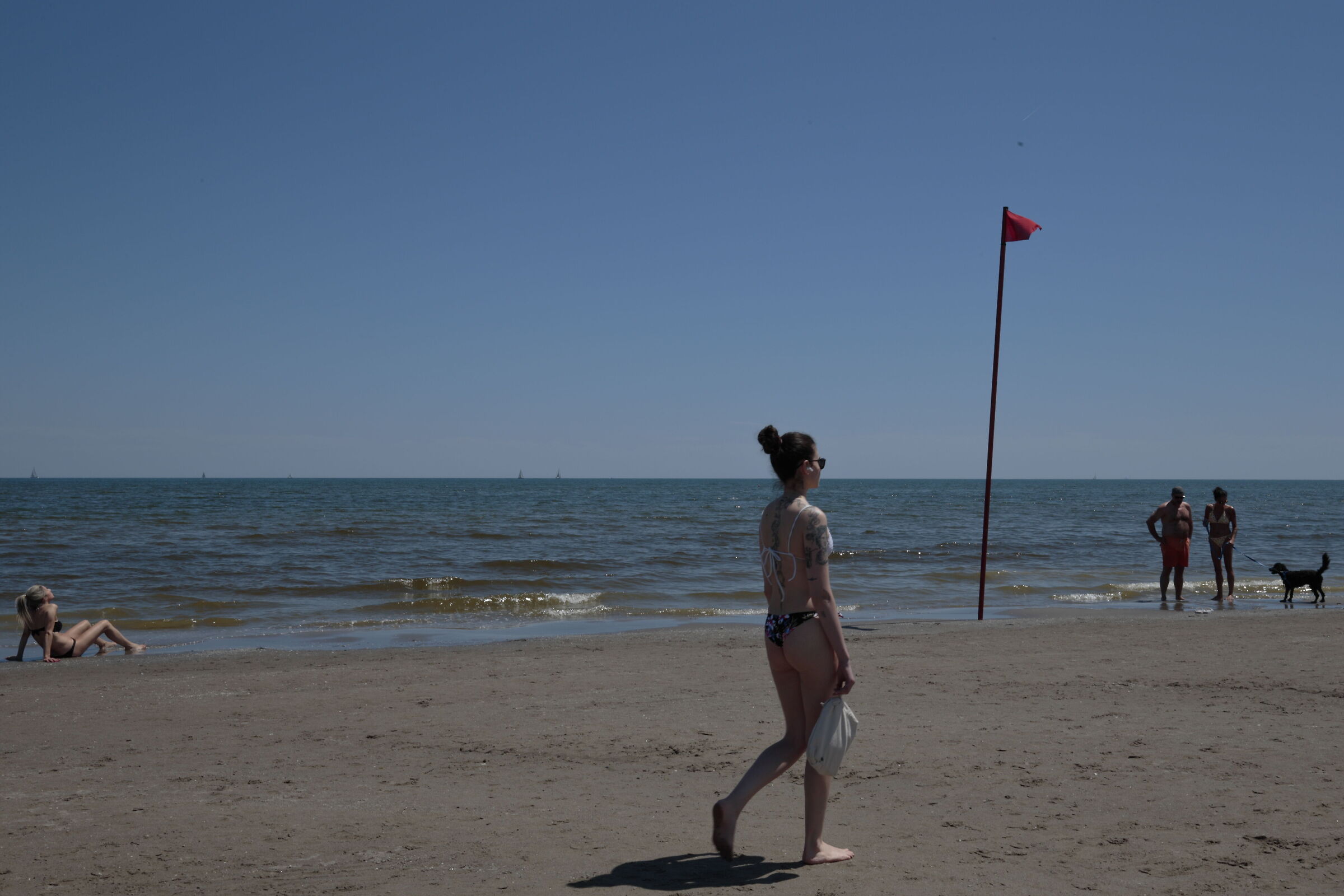 Untitled Photo