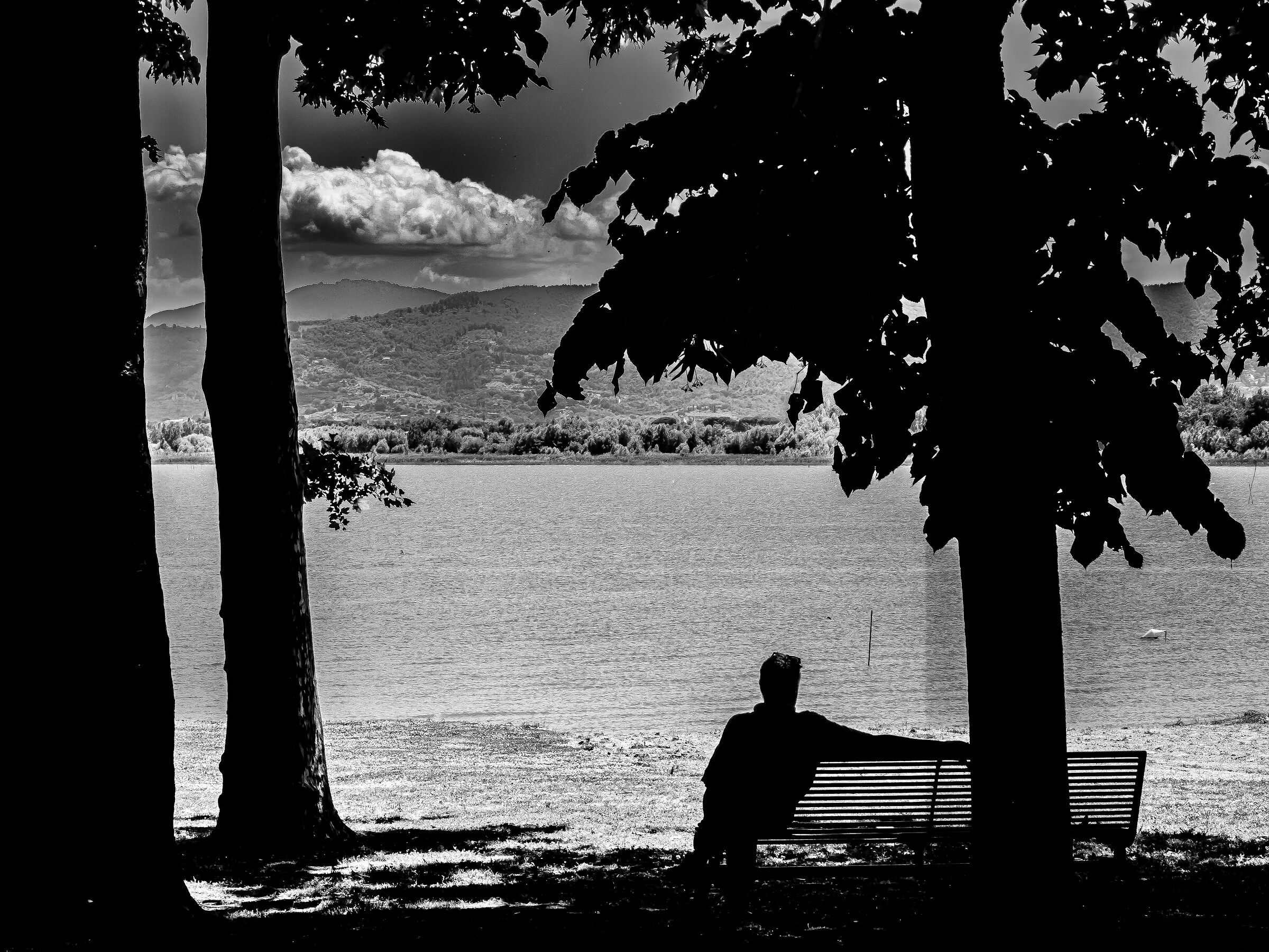 Lake tranquility