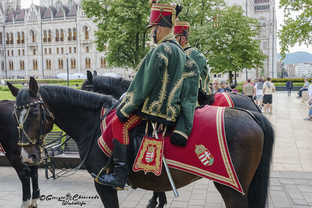Hussars (Budapest, Hungary)