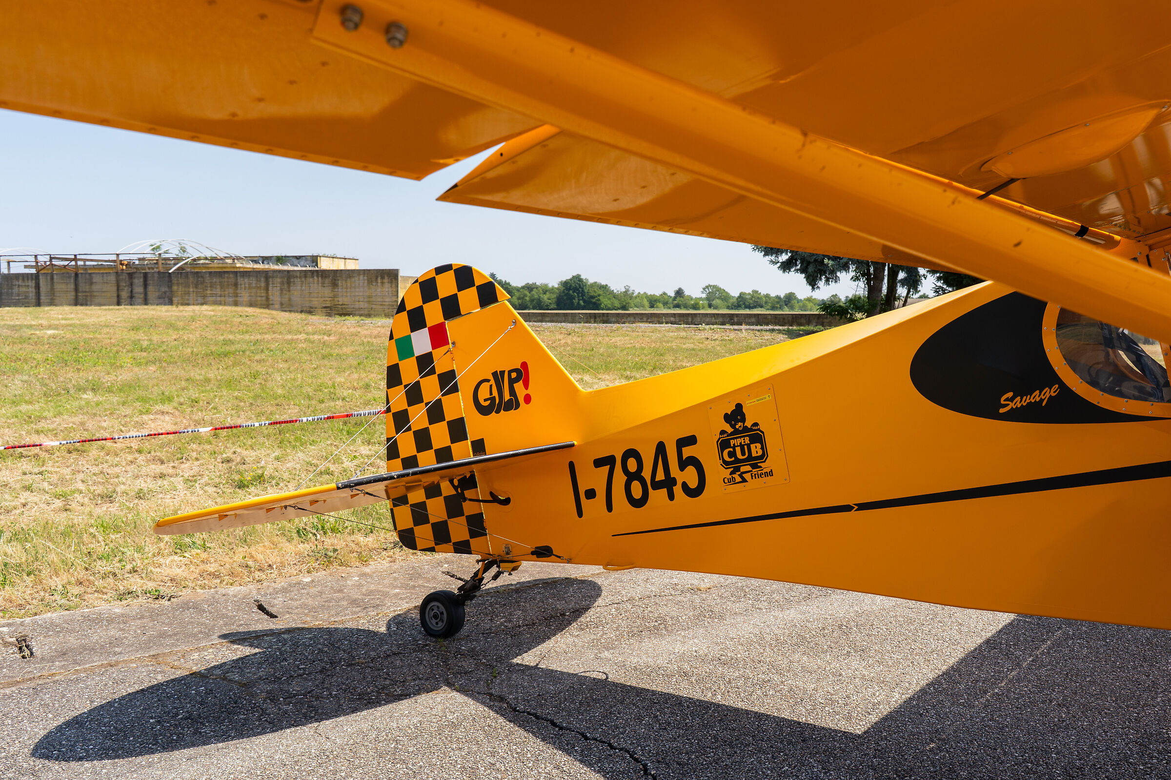 Piper Cub Friends