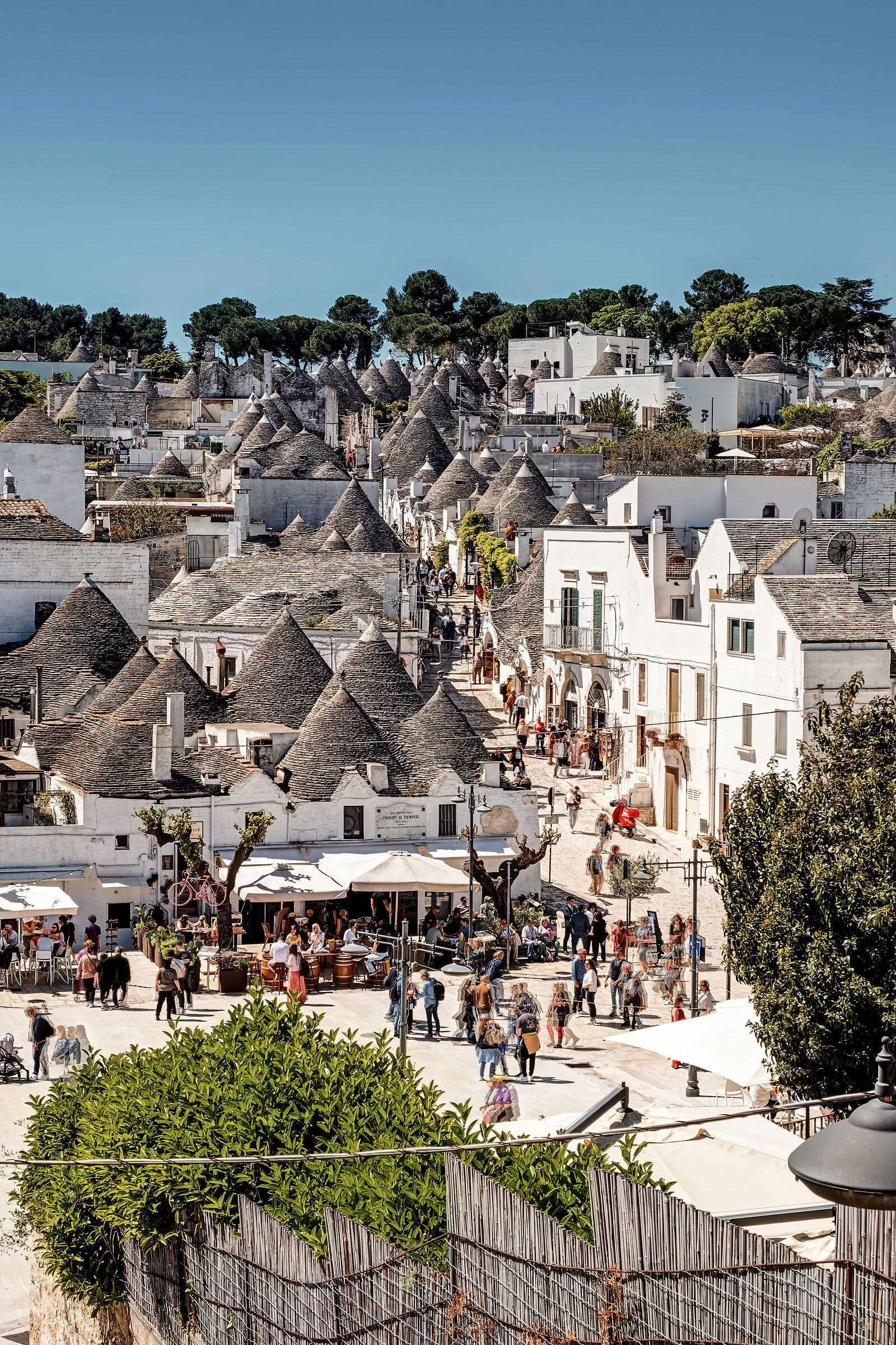 Alberobello (BA)