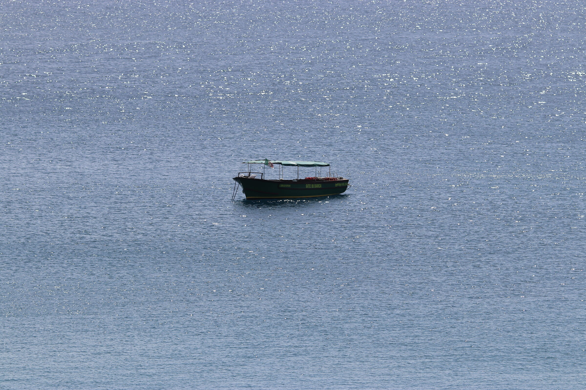"Crop 3 Cento" Canon 135 F. 2 L Usm+ TC 1.4 X iii, D 80