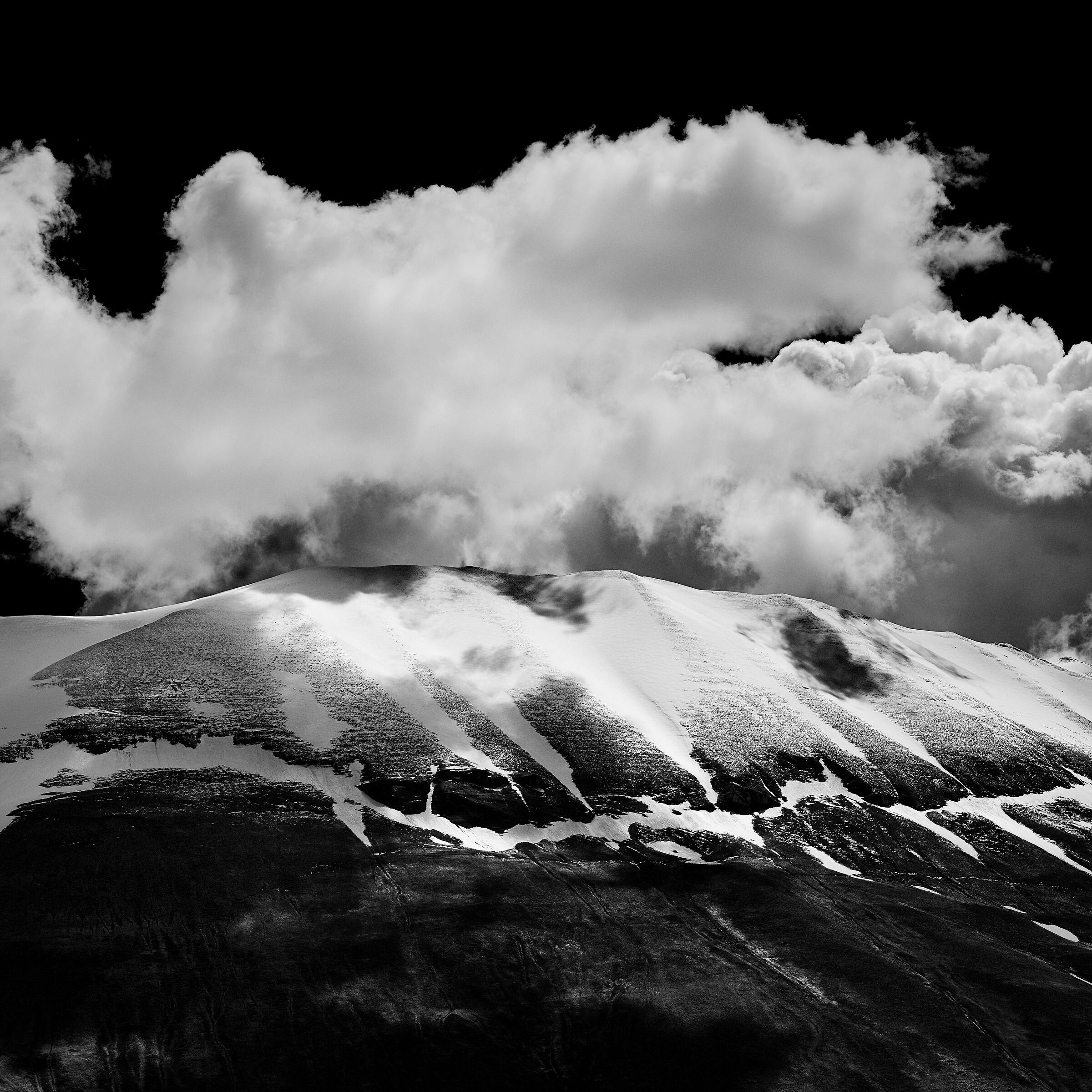 Black over, black underneath and white in the middle...