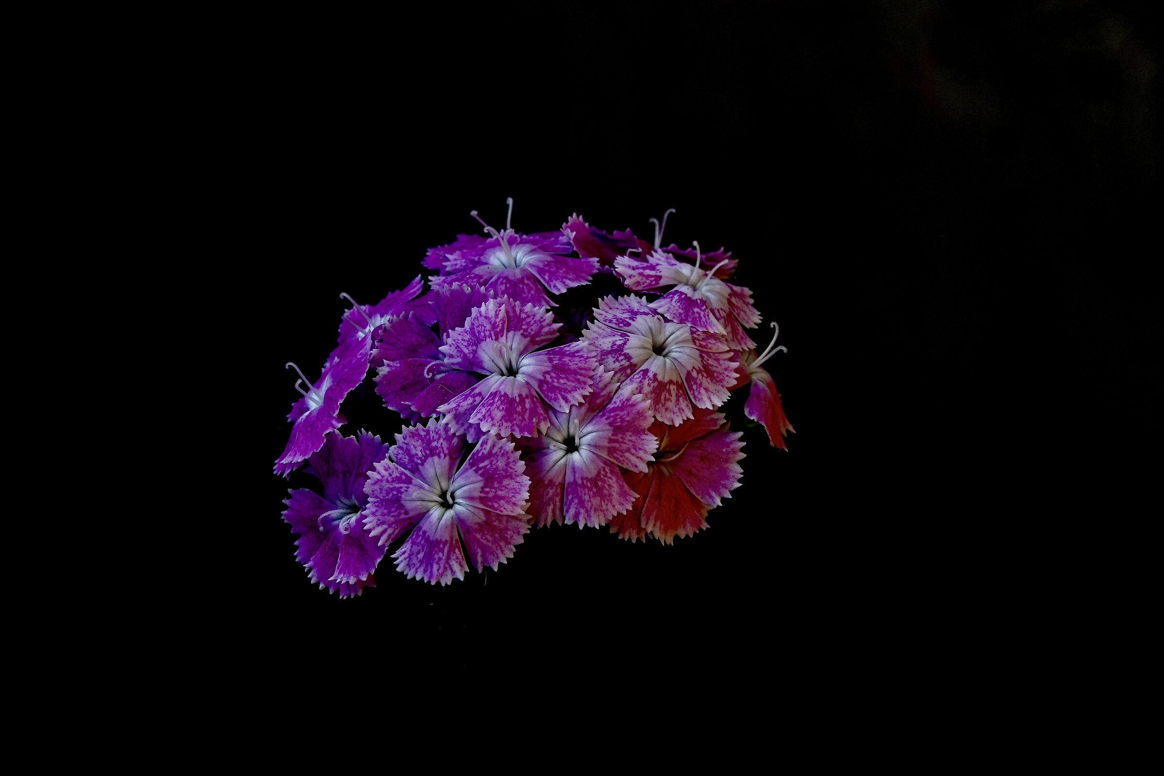 Color
