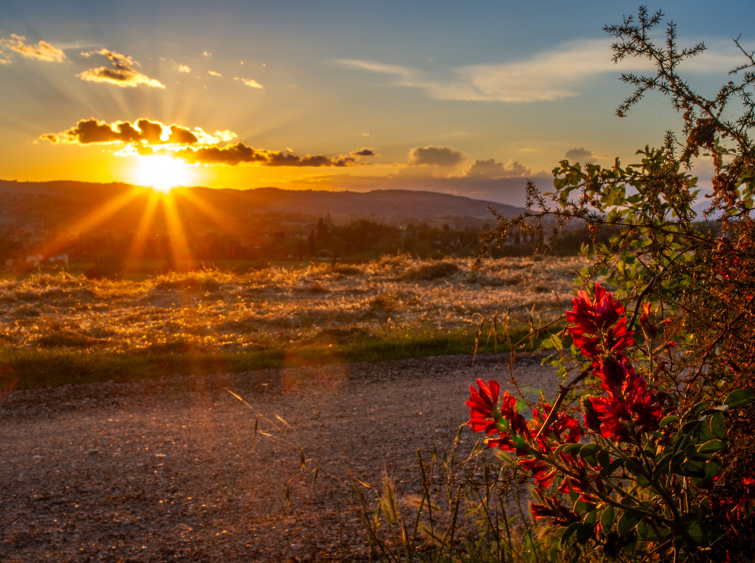 Bevagna - Sunset